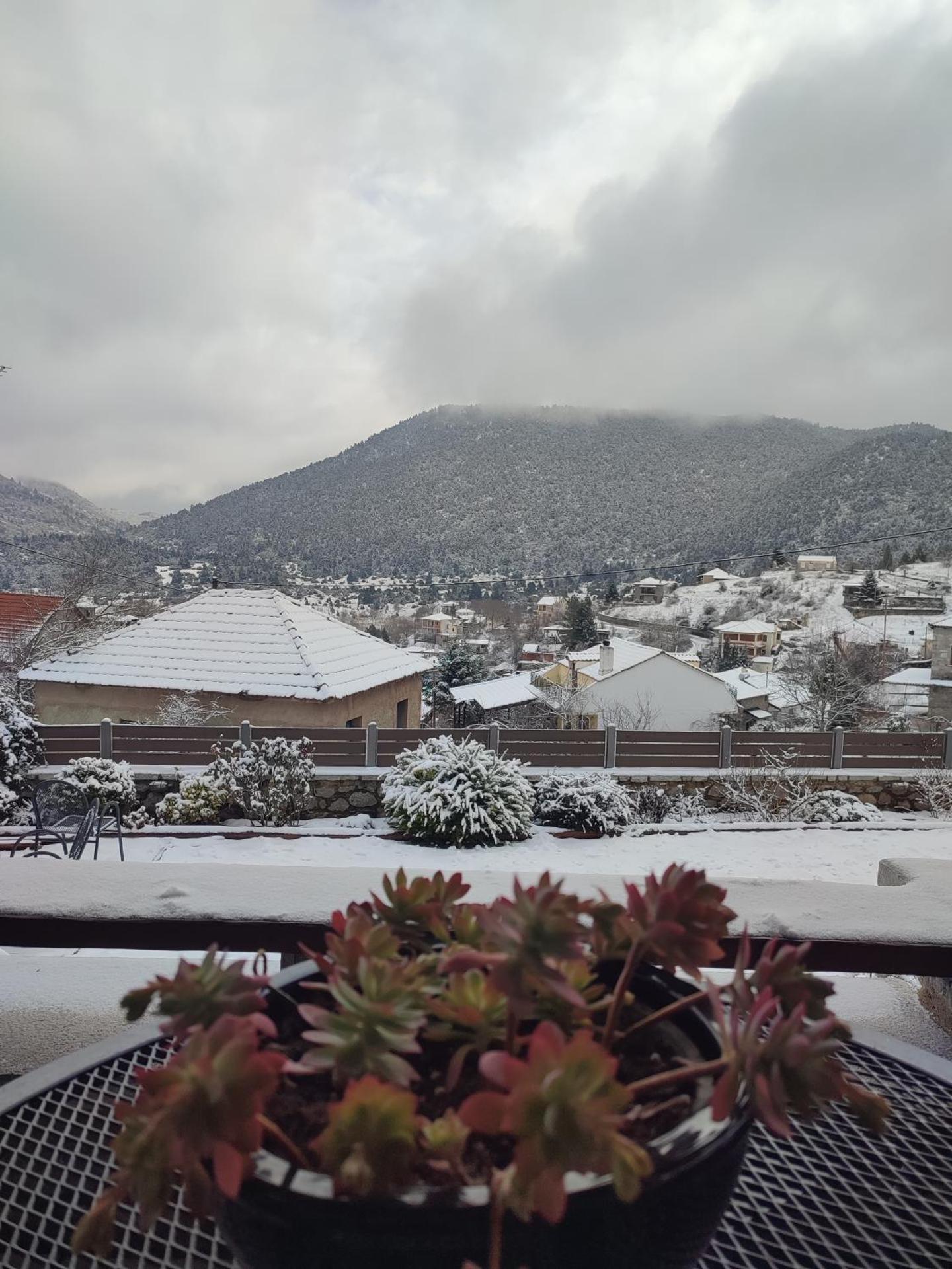 Ξενώνας Αγανίππη - Photo 100