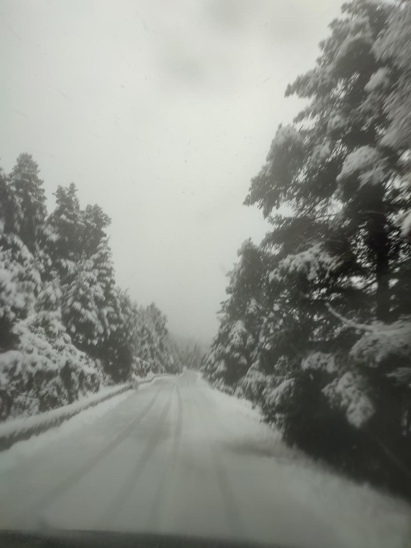 Ξενώνας Αγανίππη - Photo 102