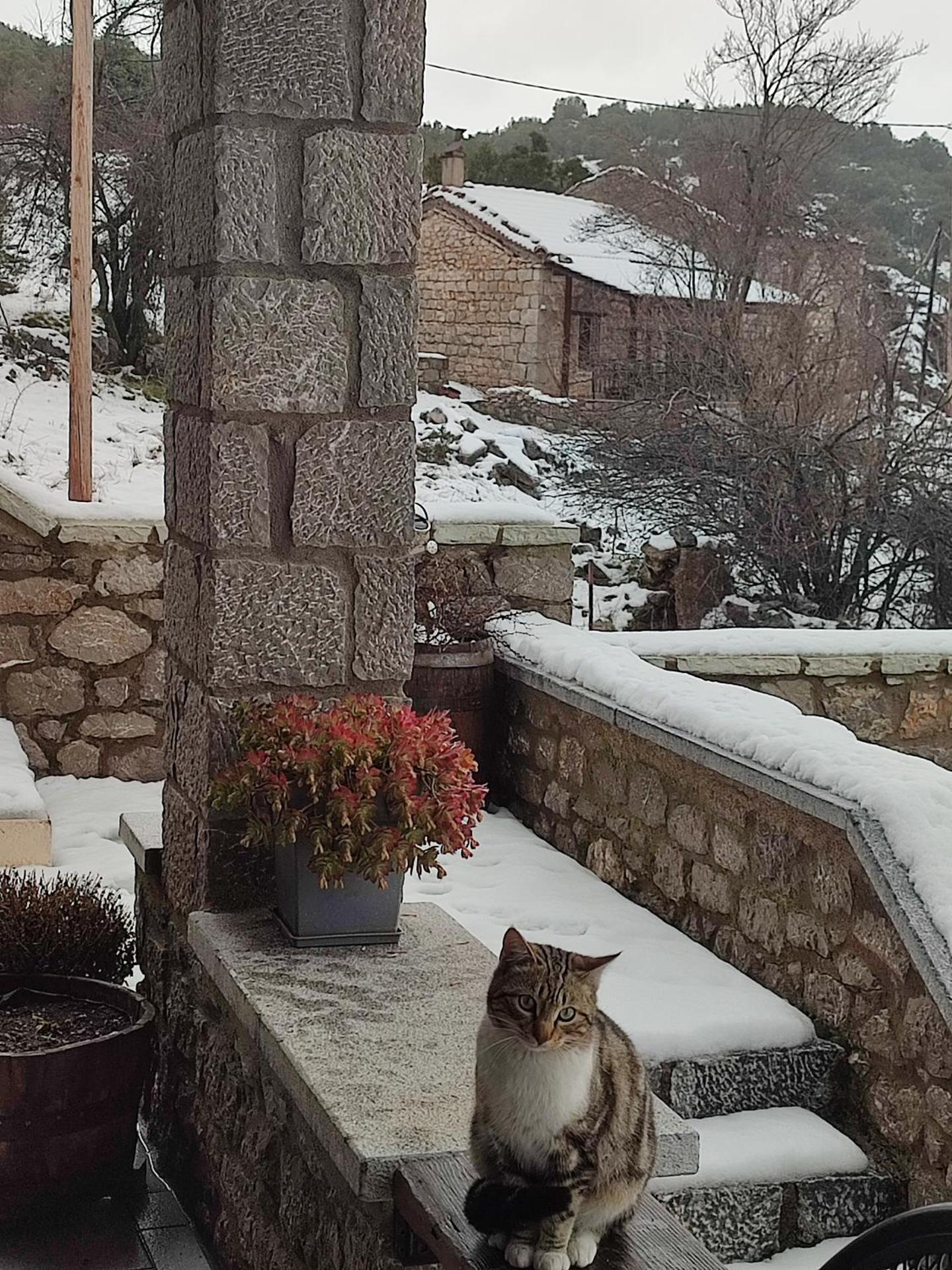 Ξενώνας Αγανίππη - Photo 103