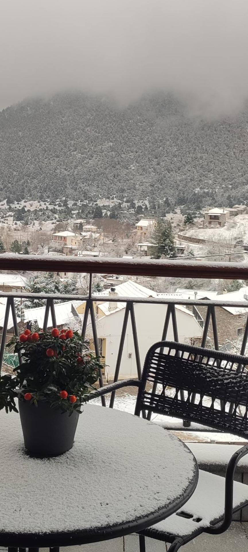 Ξενώνας Αγανίππη - Photo 104