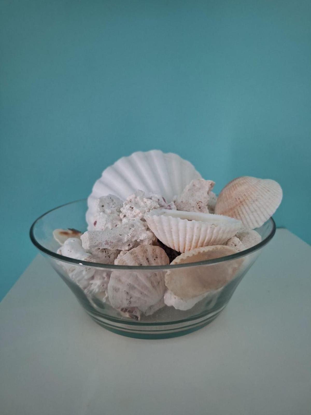 PASSION DEL CARIBE - CORAL VILLAGE 1 - modern and fully equipped apartments & suites in residence with pool and 24 hour security, close the beach, shops, bars, restaurants & entertainment - Photo 136