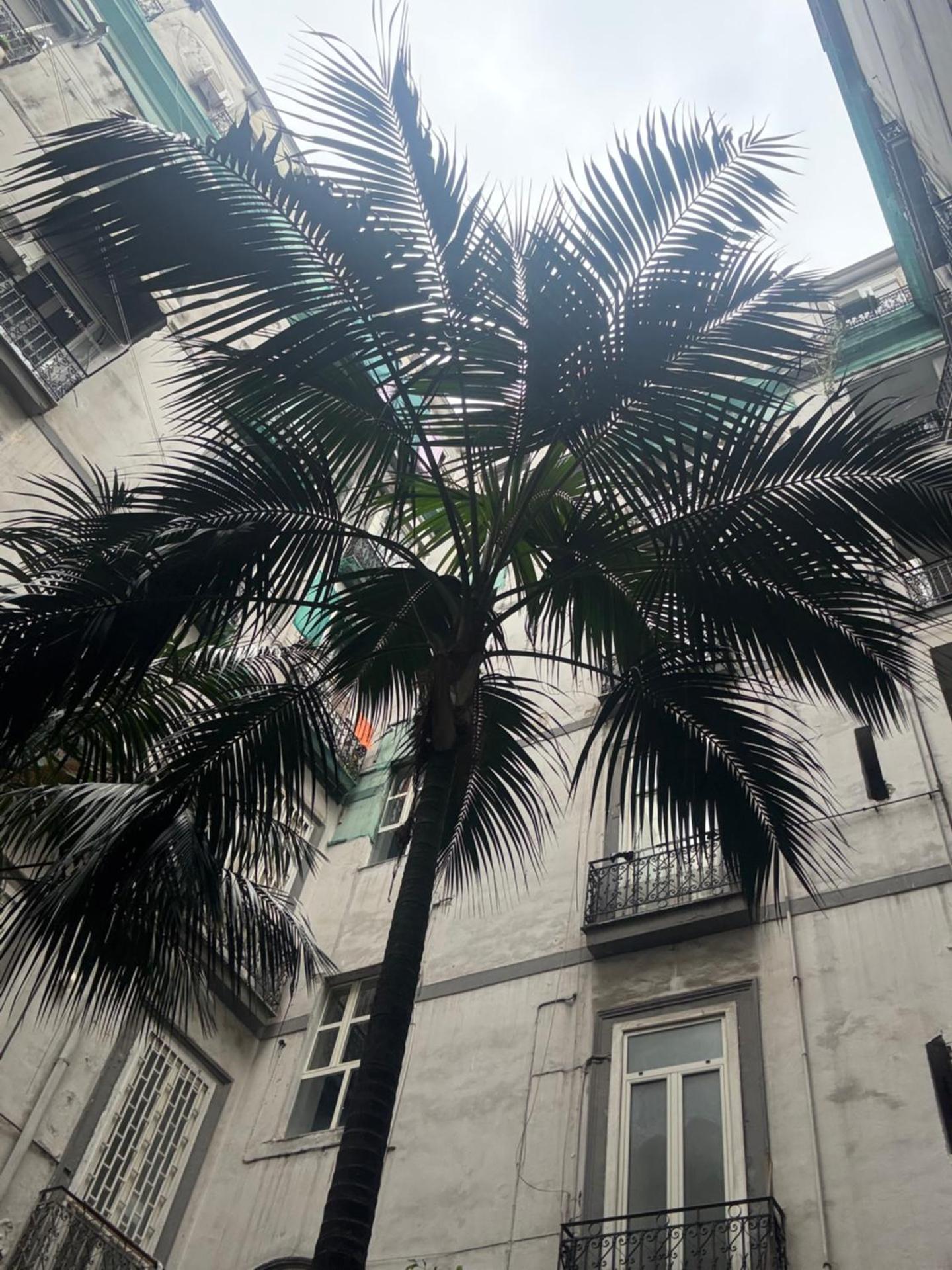 Tiaré Home Napoli - Photo 17