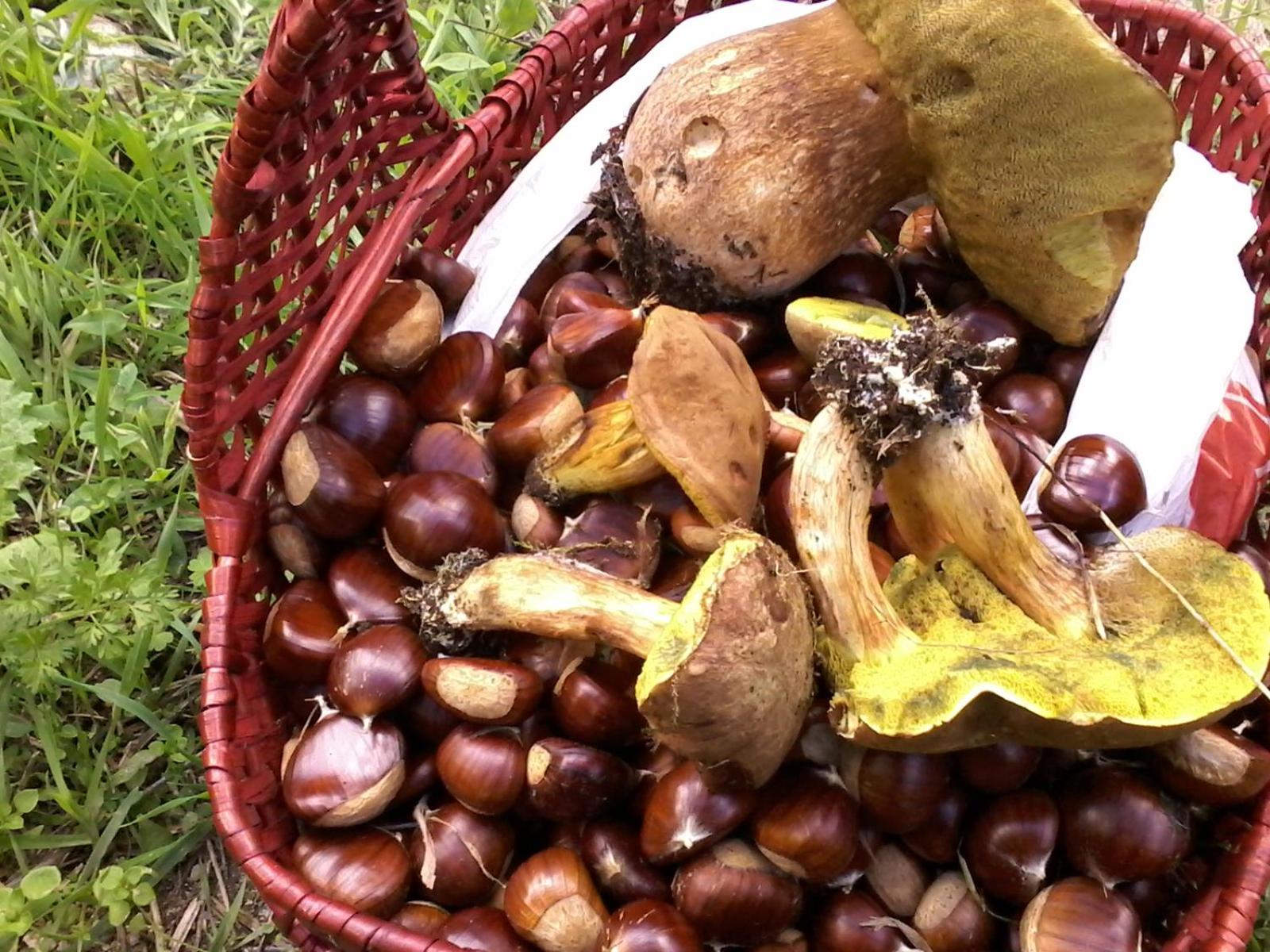 B&B Meladormo - Photo 6