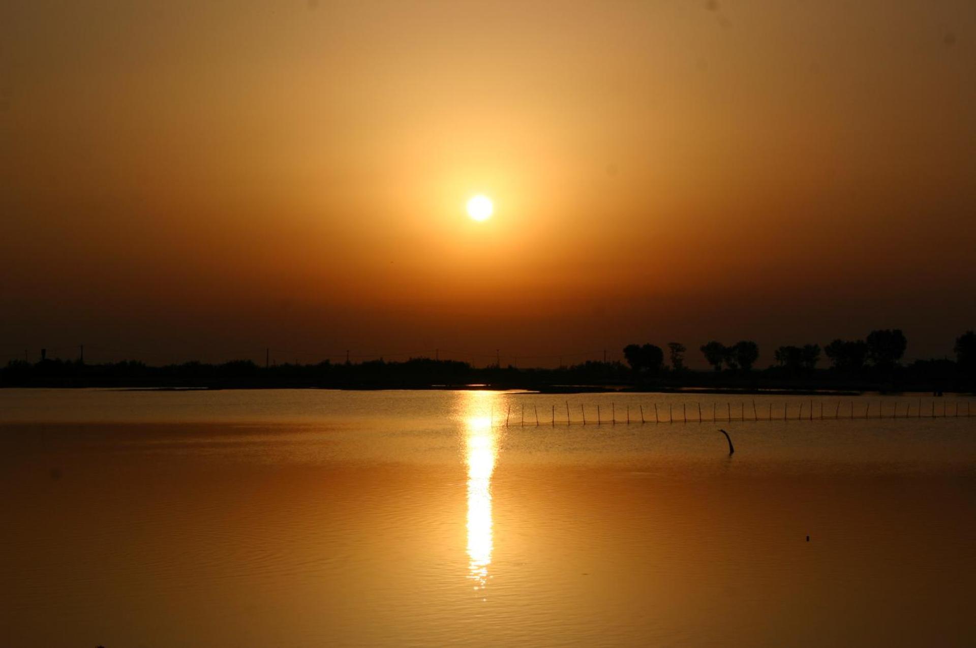 Hotel Cavallino Bianco - Photo 41