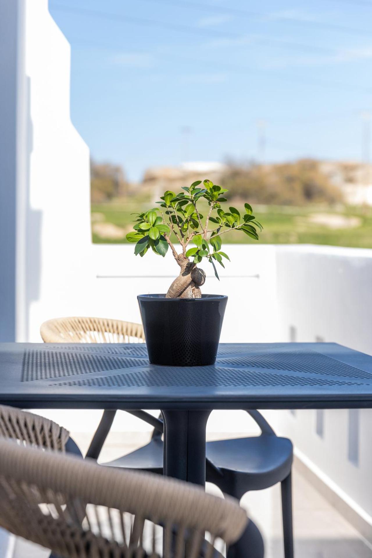 Olive Garden Hotel - Photo 48