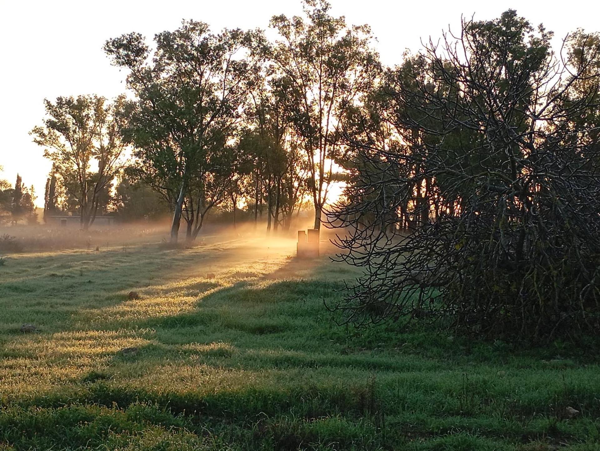 Agriturismo Il Pavone - Photo 99