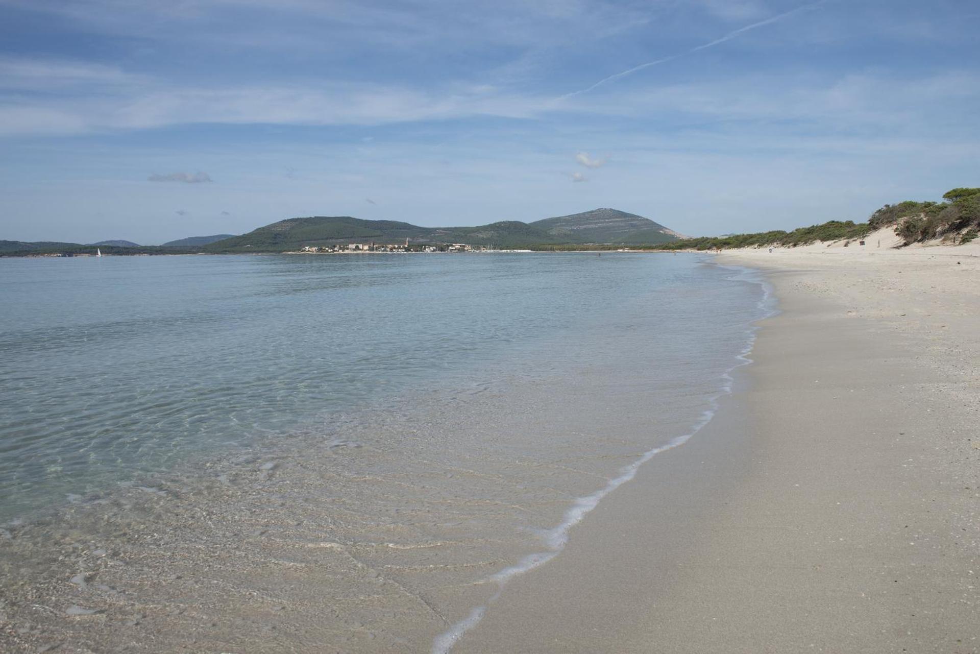 Hotel Oasis - Photo 68