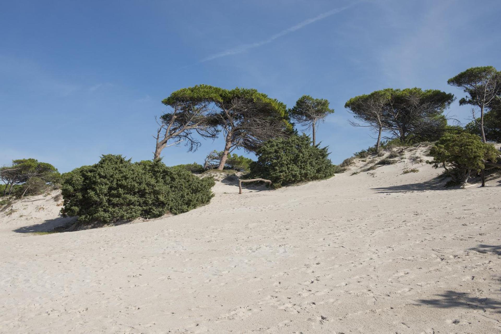 Hotel Oasis - Photo 65