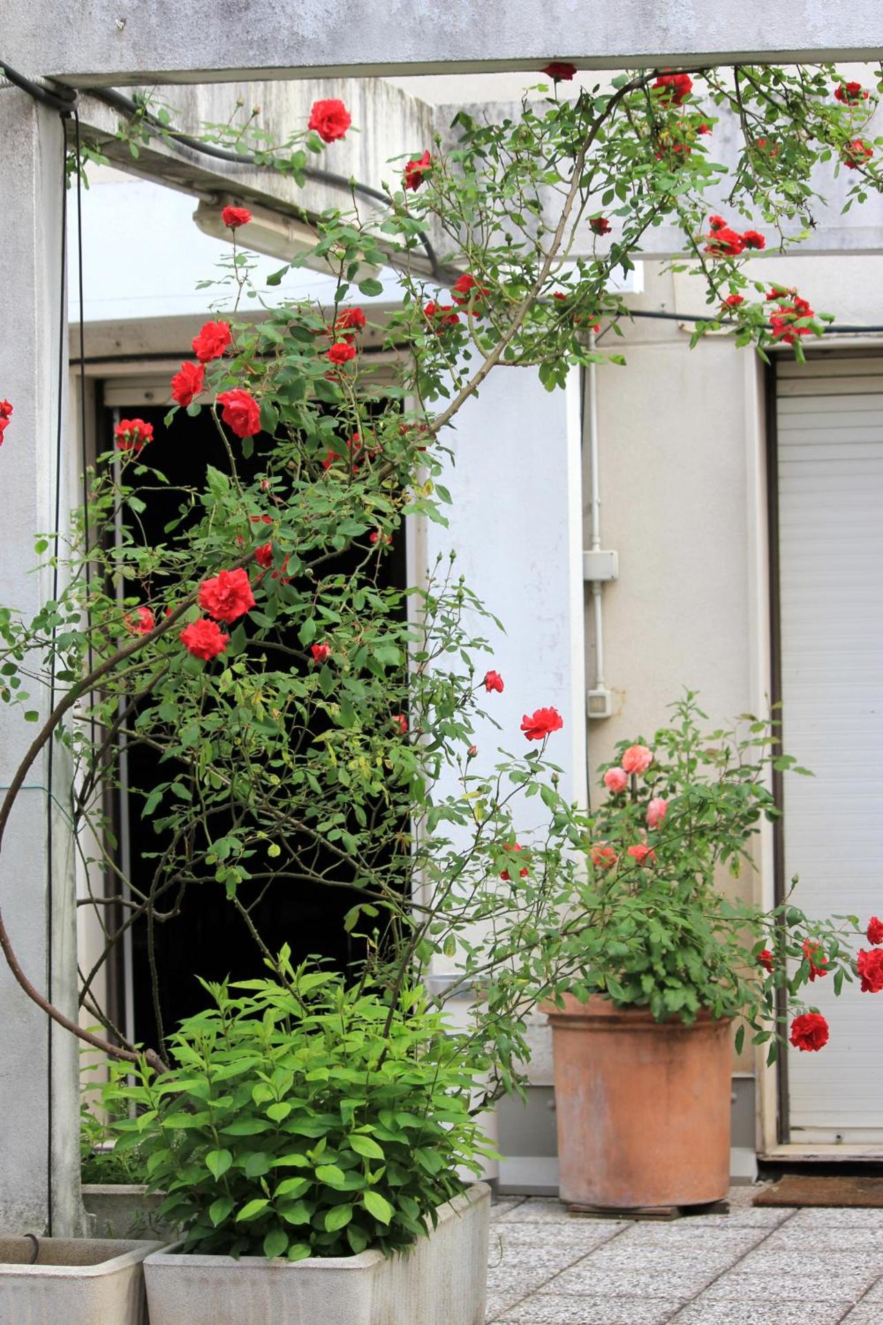 Albergo Residence Italia Vintage Hotel - Photo 102