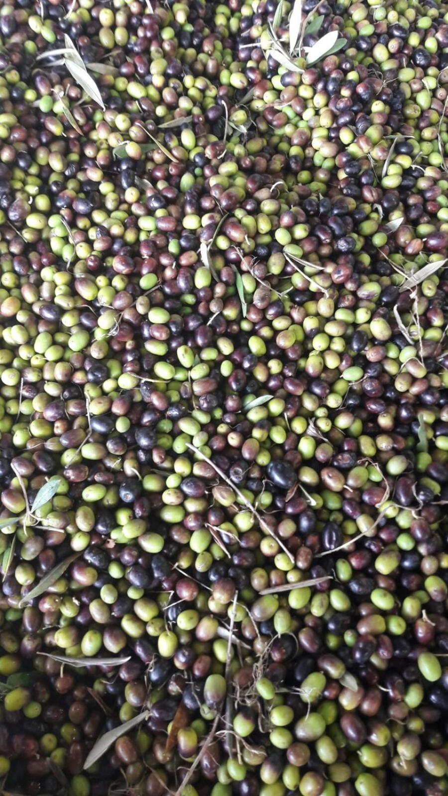 B&B Da Pio - Photo 61