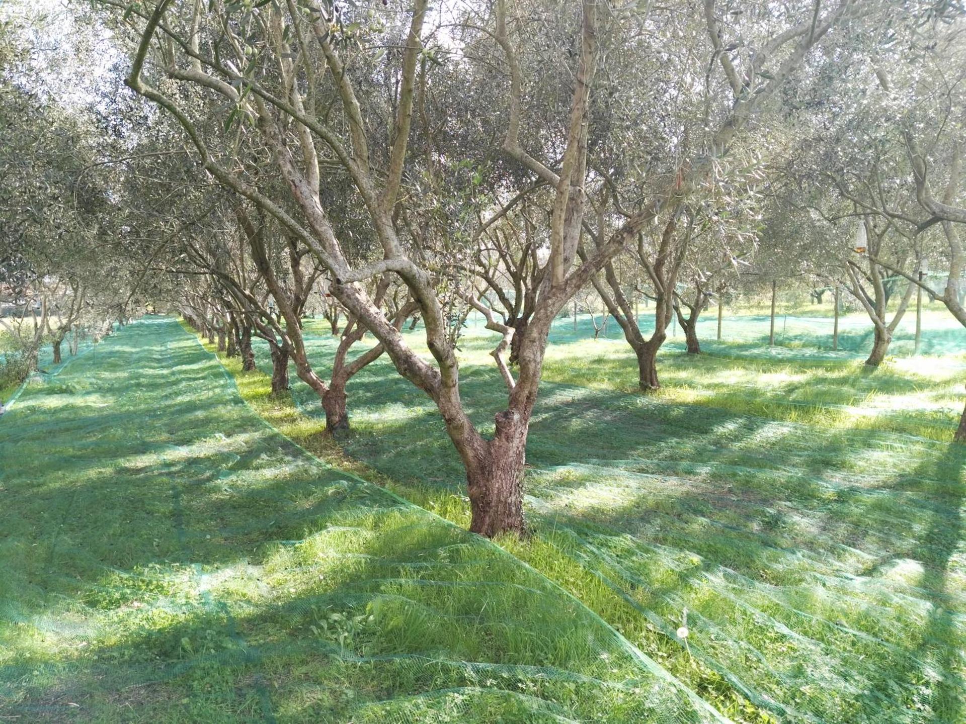 B&B Da Pio - Photo 63