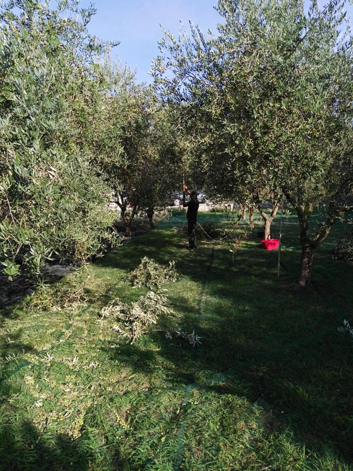 B&B Da Pio - Photo 62