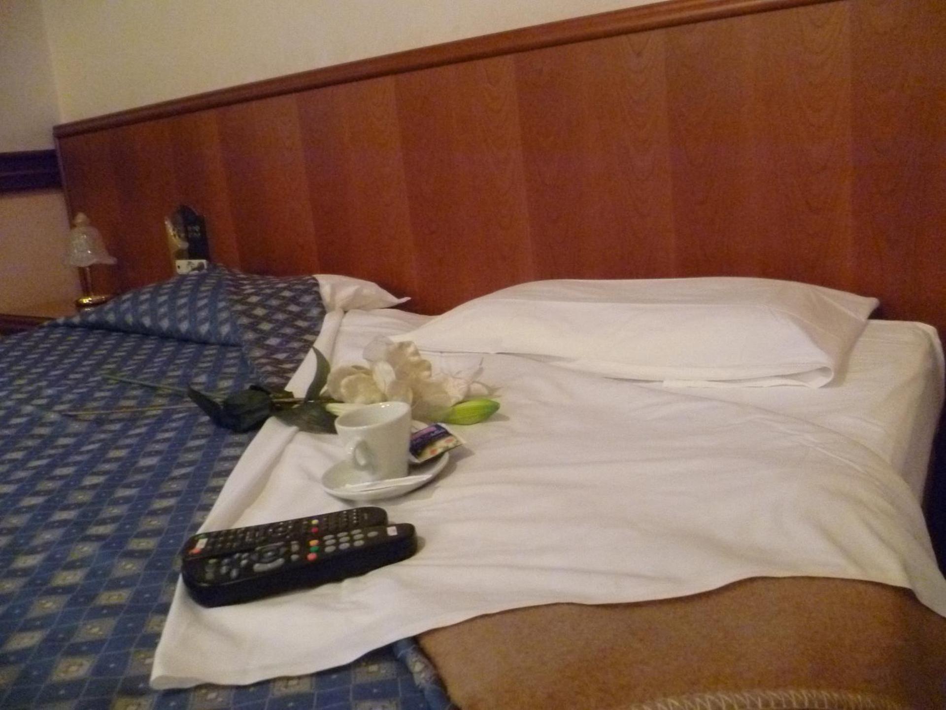 Hotel Minerva - Photo 171