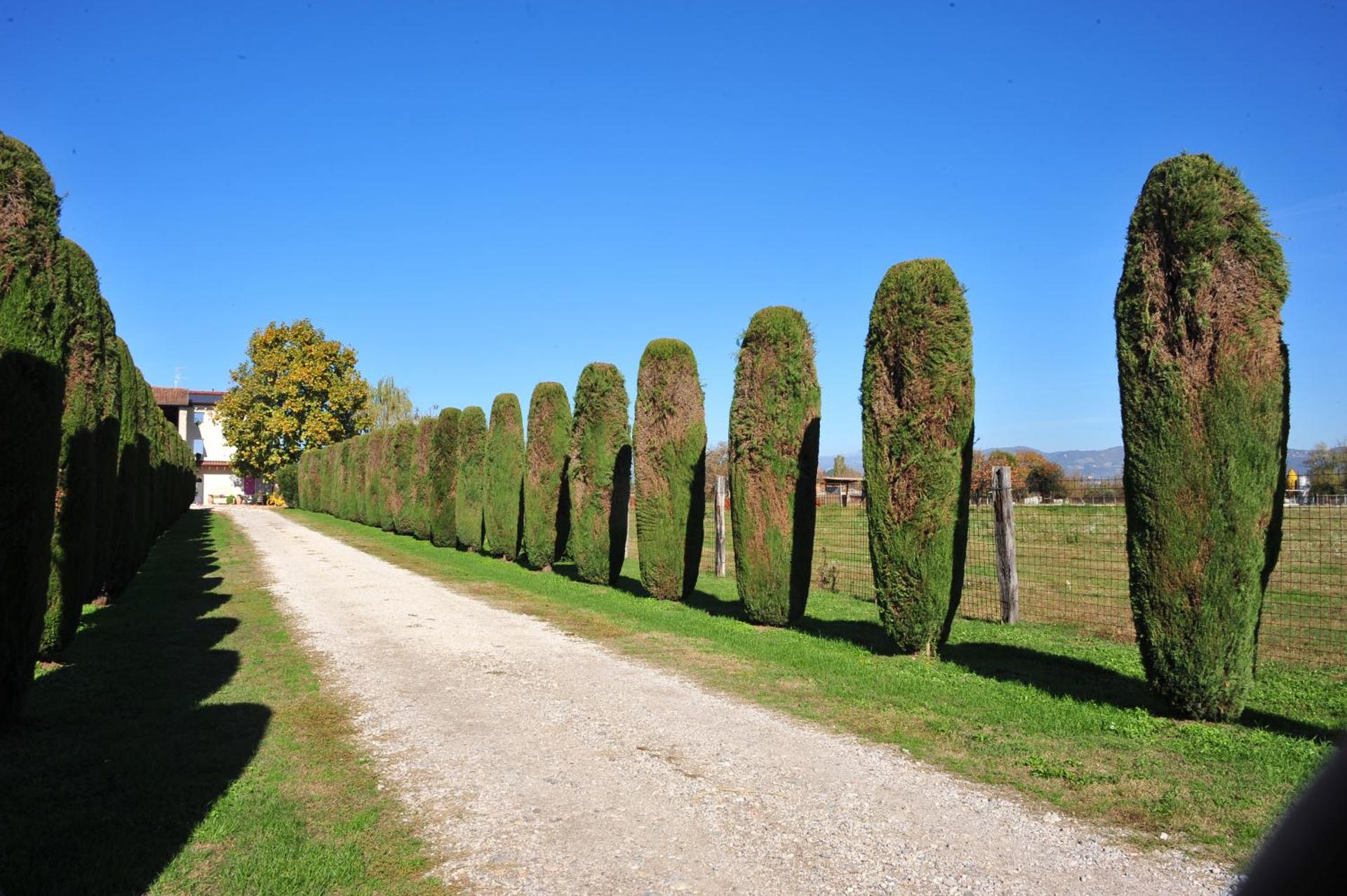Agriturismo Corte Bonetti - Photo 15