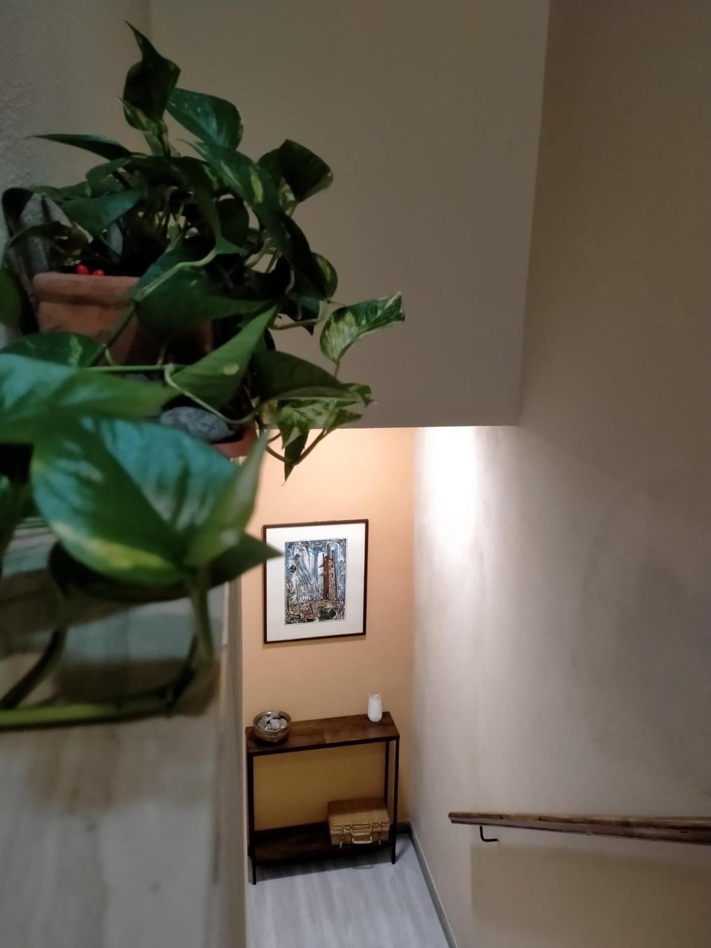 WoW San Miniato - Photo 23