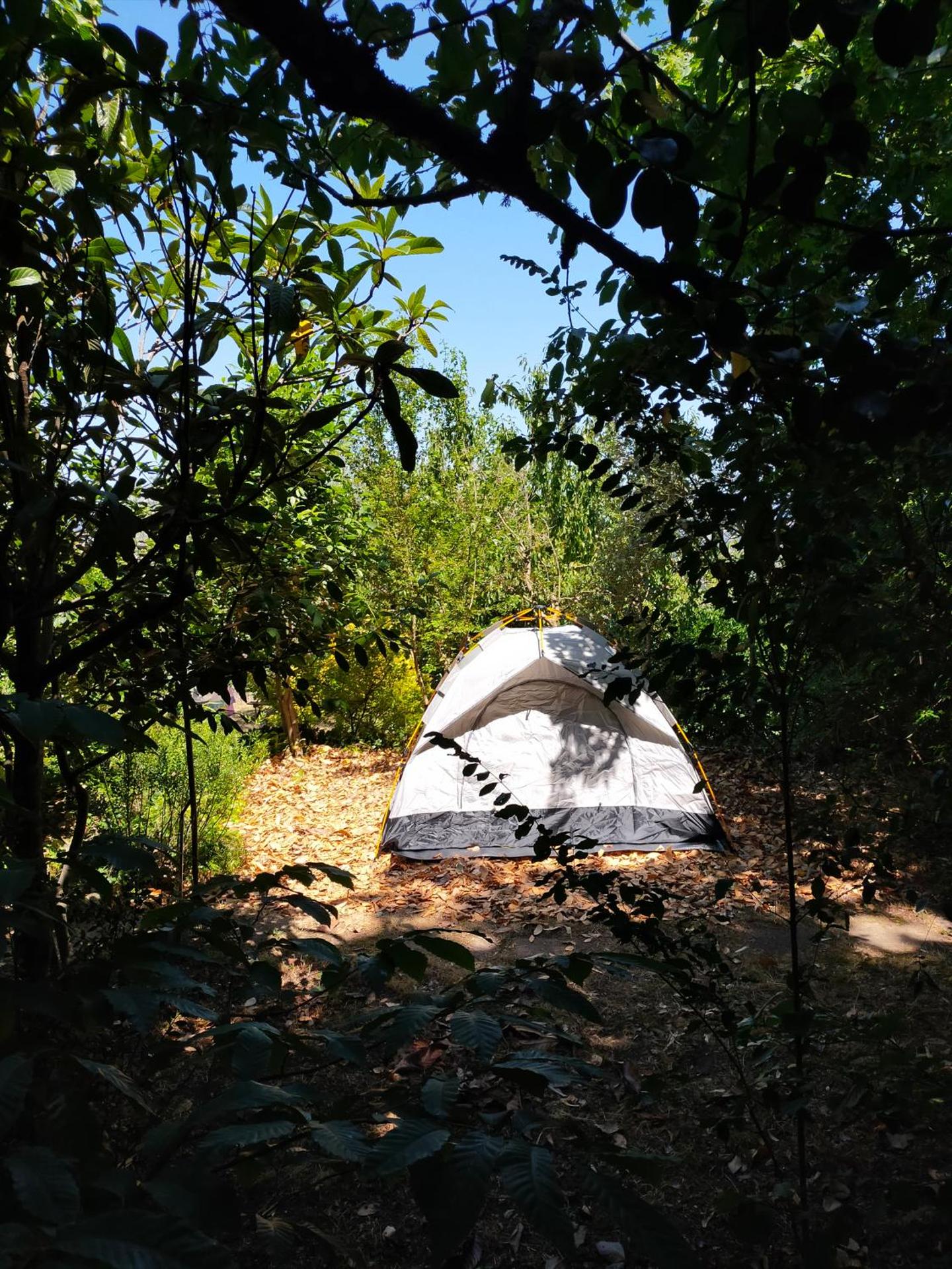 B&B Meladormo - Photo 24