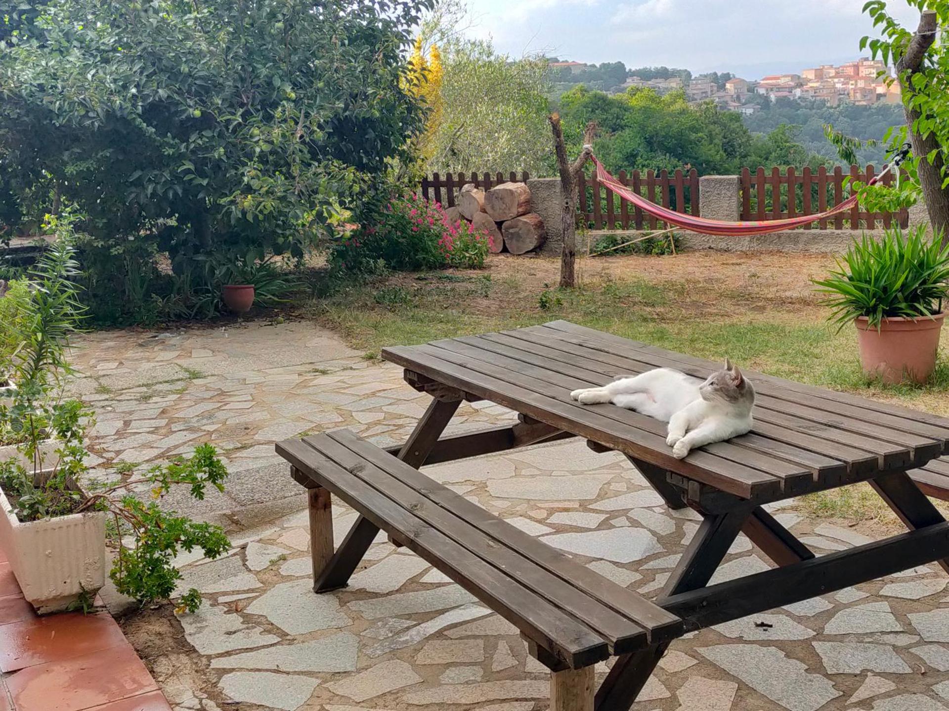 B&B Meladormo - Photo 25