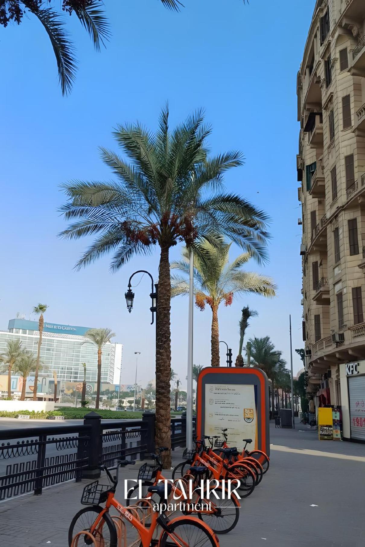 El-Tahrir View l Apartment - Photo 9