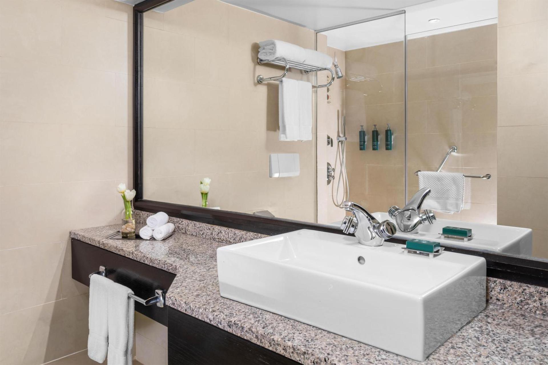 Hilton Cairo Heliopolis Hotel - Photo 54