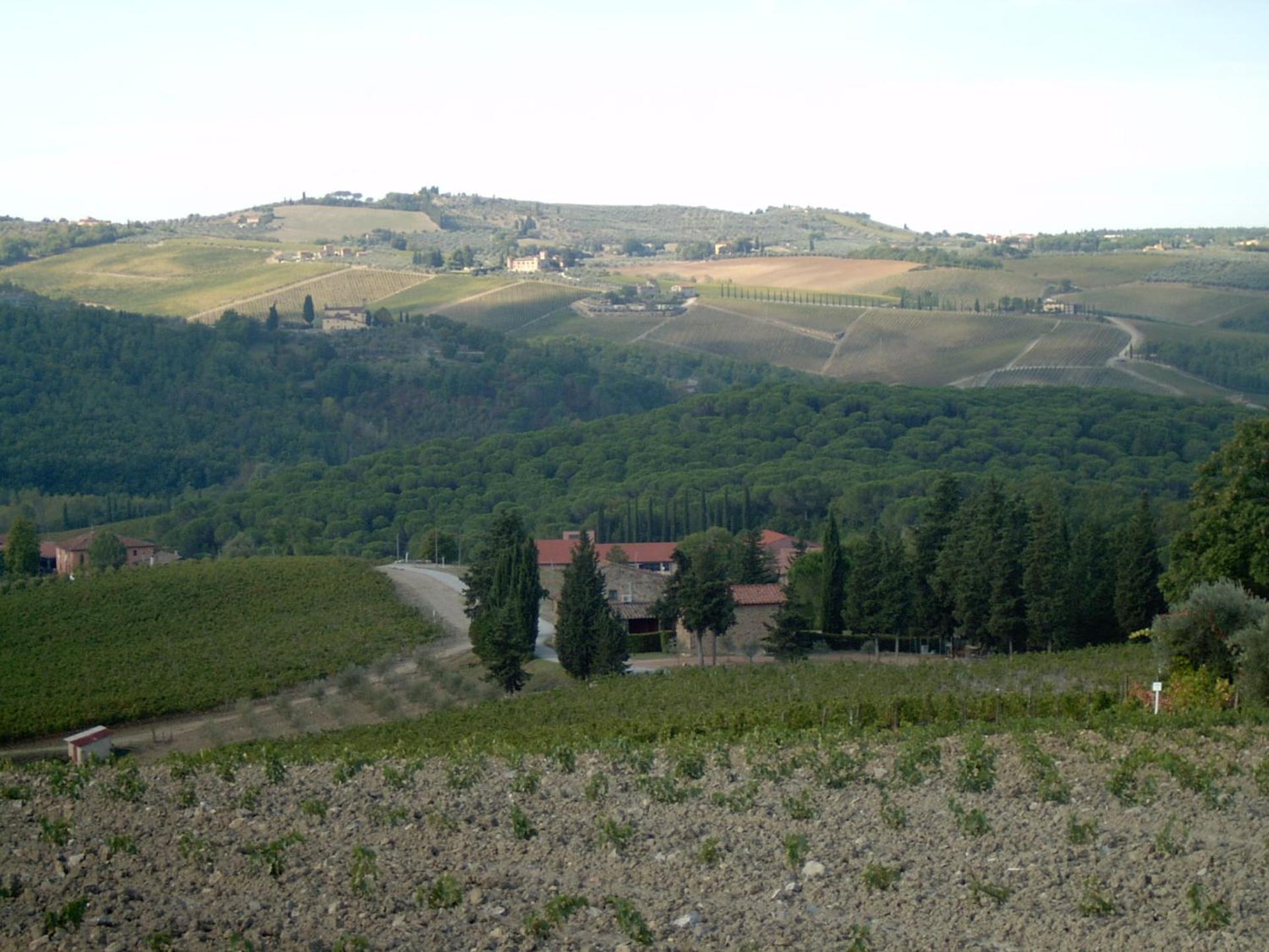 Residence Casprini da Omero - Photo 219