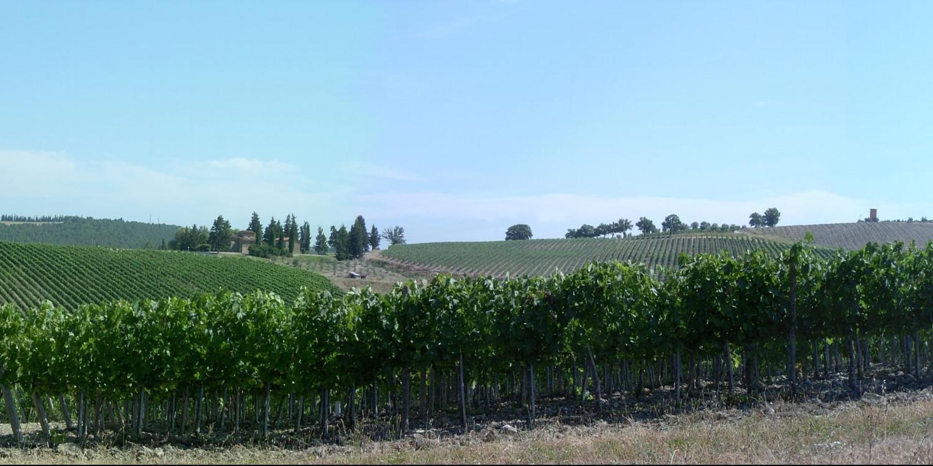 Residence Casprini da Omero - Photo 221