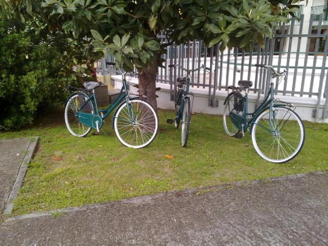 Residence Viale Venezia - Photo 26