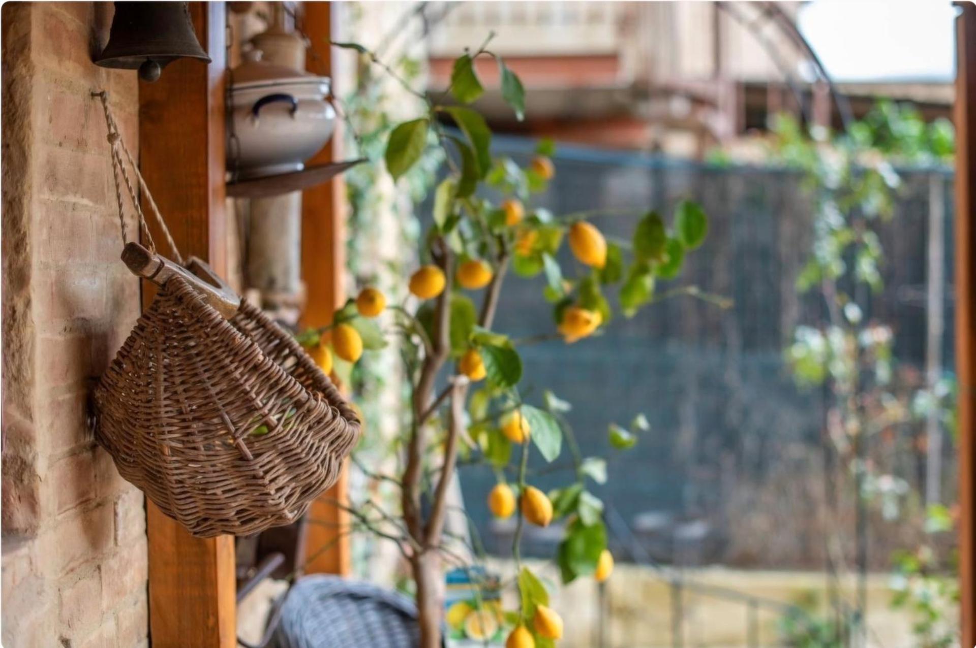 Il Girasole -with Garden- - Photo 46