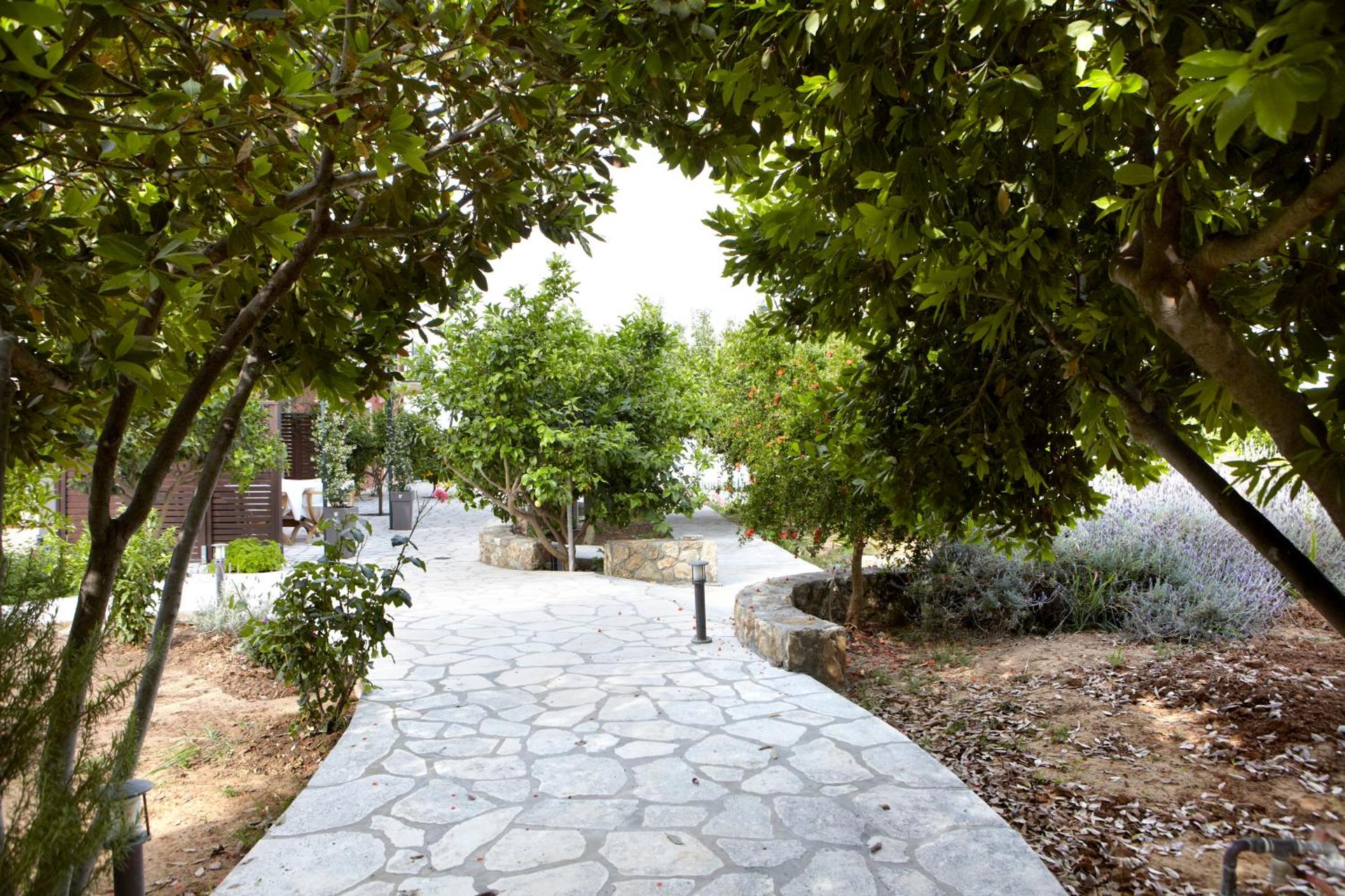 Avra Private Suites - Photo 177