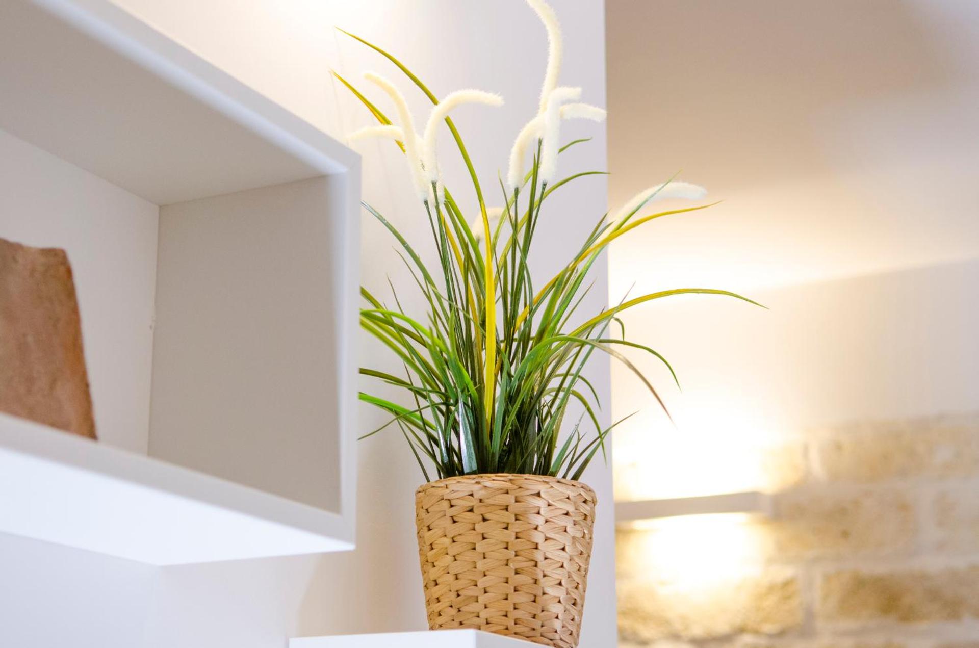 Il Delfino - Photo 30