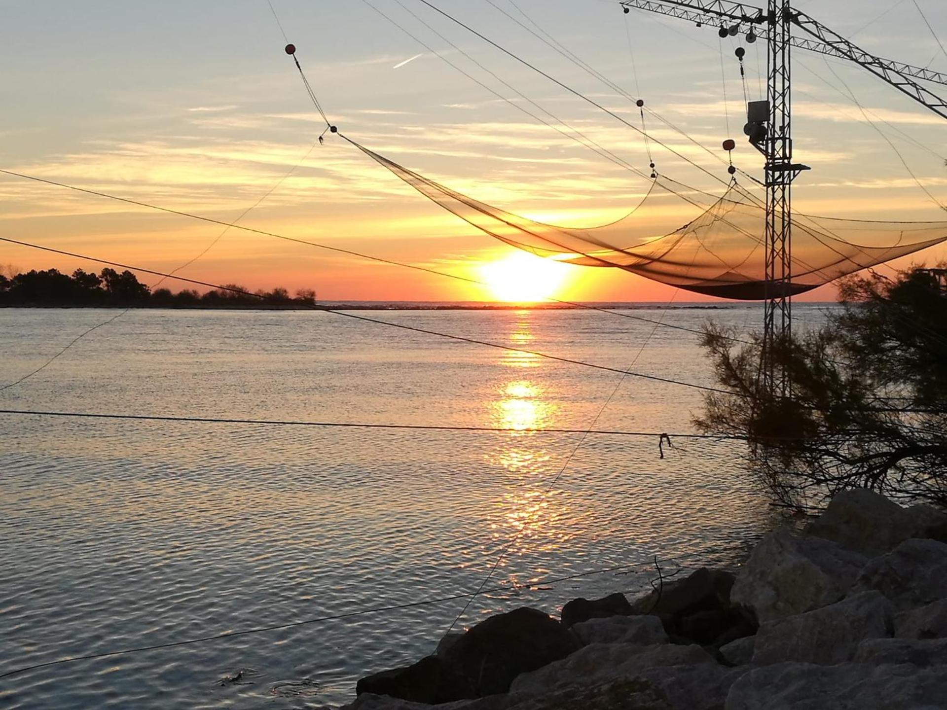 Hotel Terramare - Photo 51