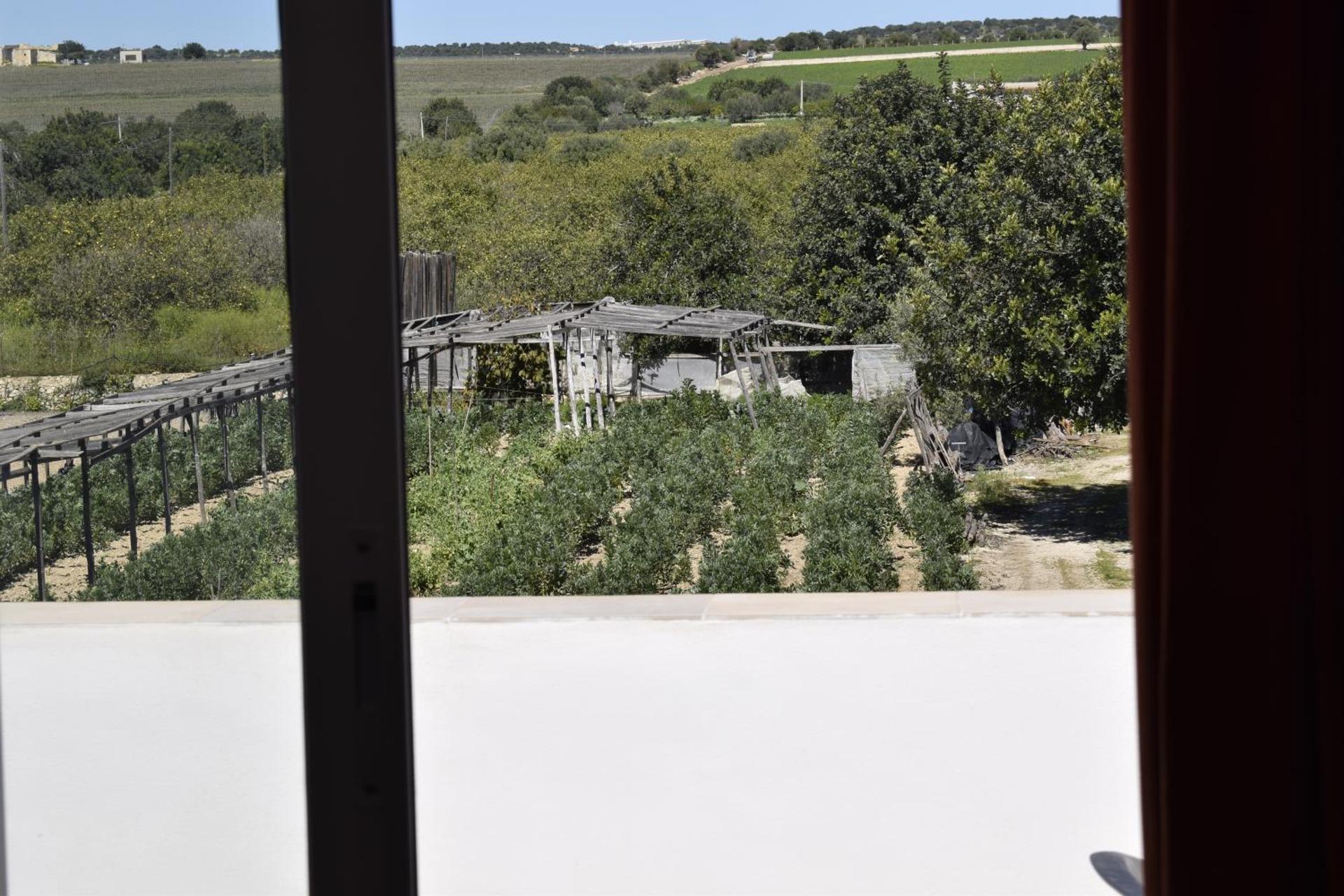 Villa Aurea - Photo 50