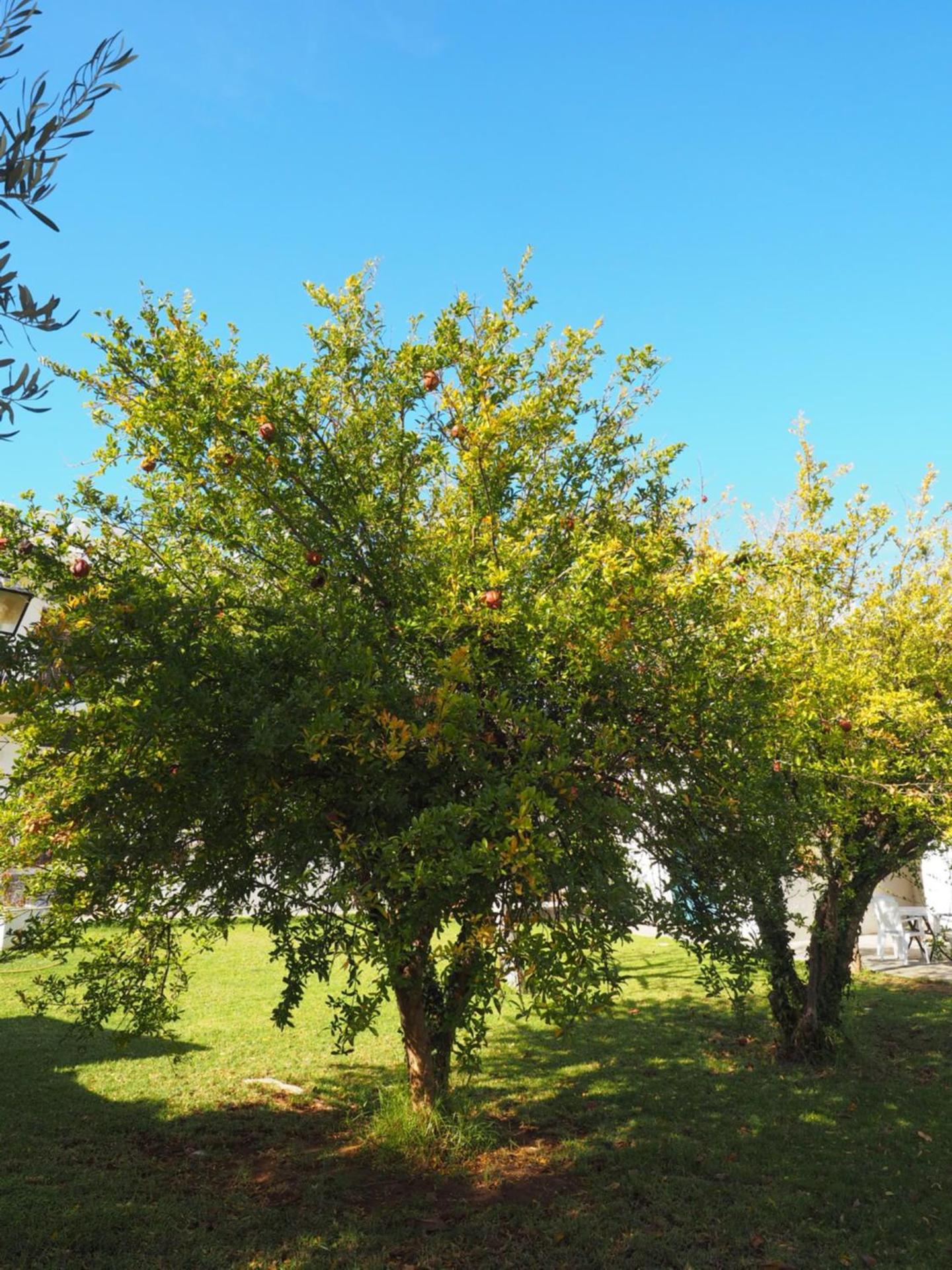 Castle By The Sea - Photo 122