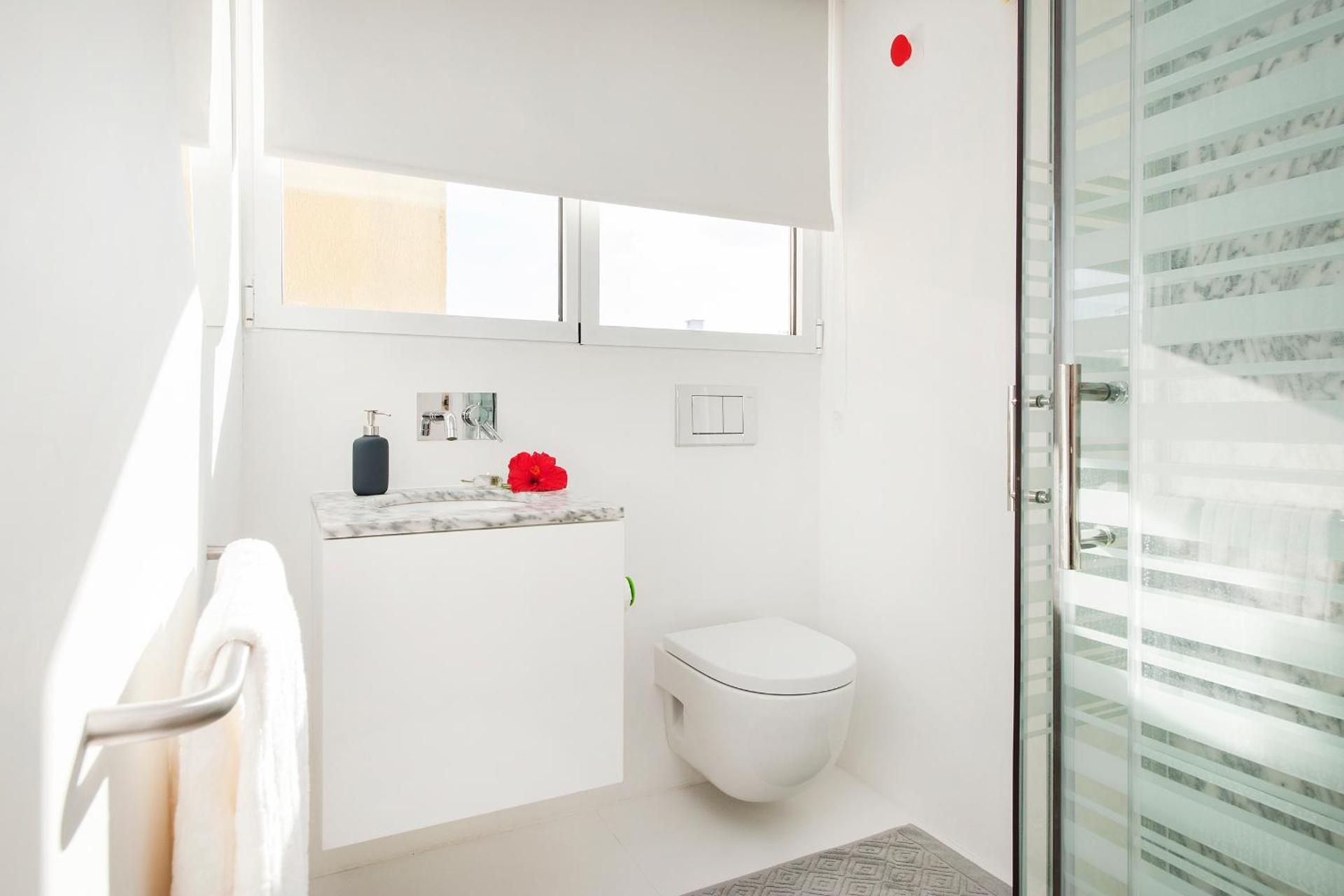 Belem Apartment with Terrace - Photo 7