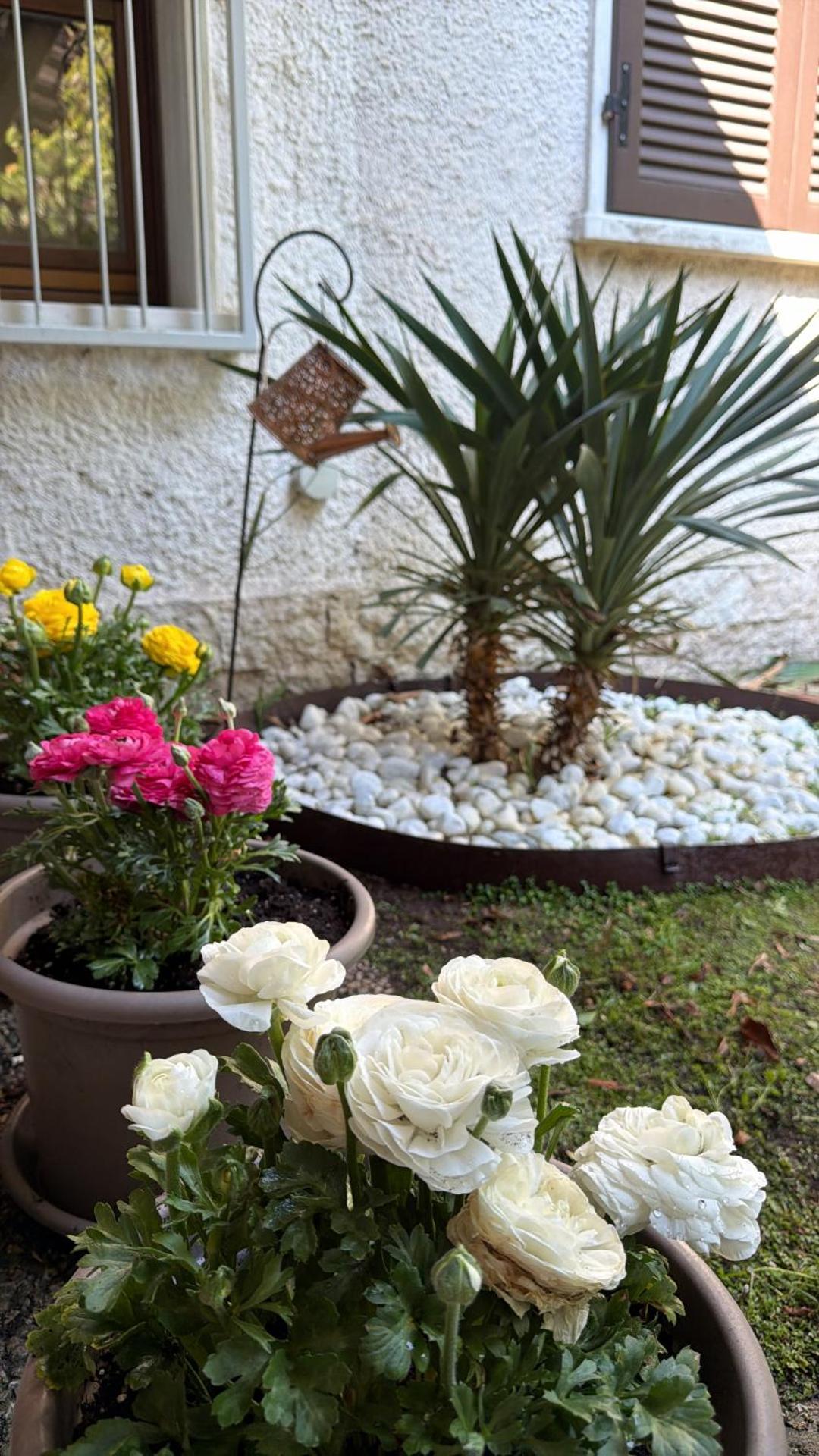 Casa Jeyel - Photo 19