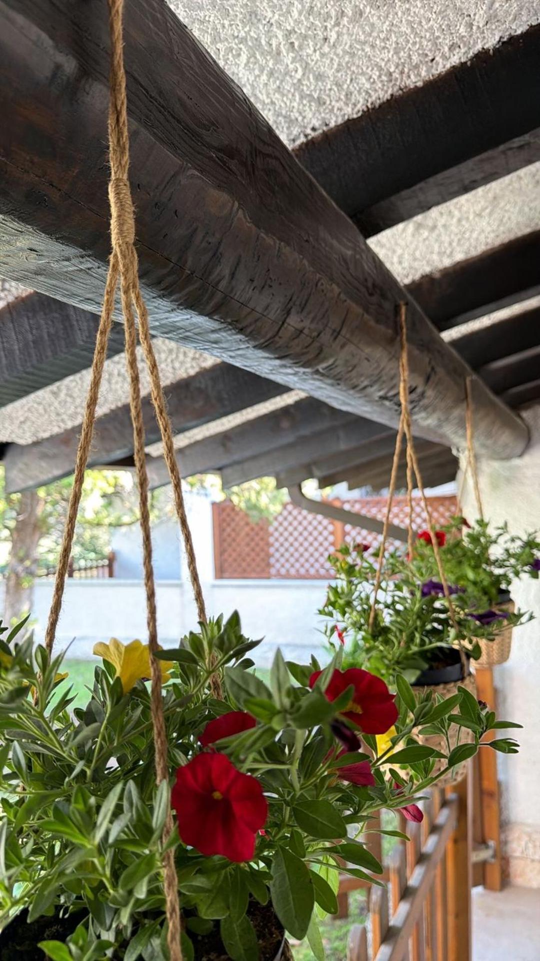 Casa Jeyel - Photo 18