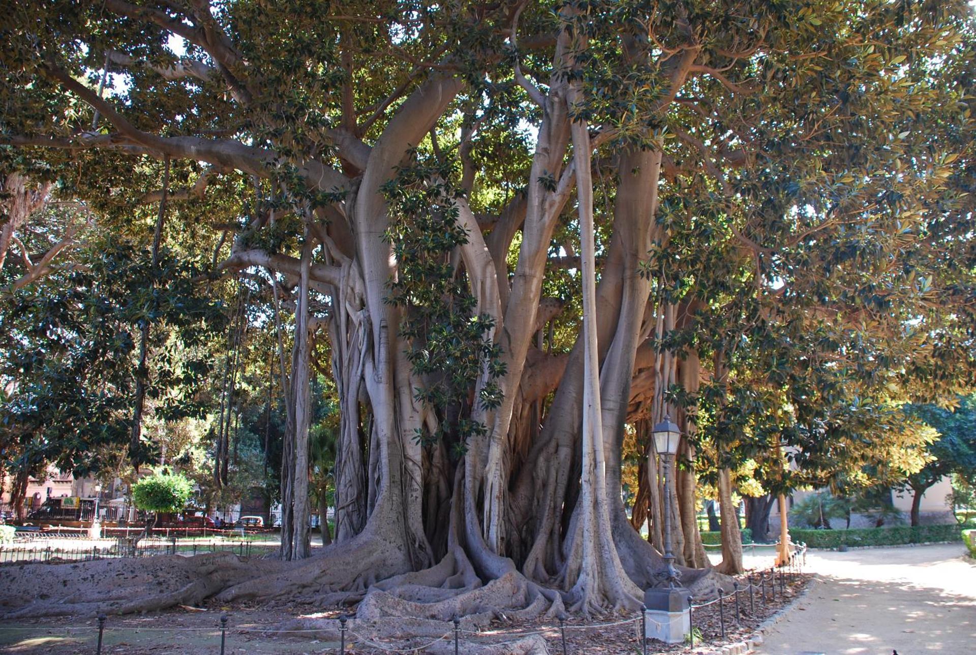 Boutique B&B Vintage - Photo 18