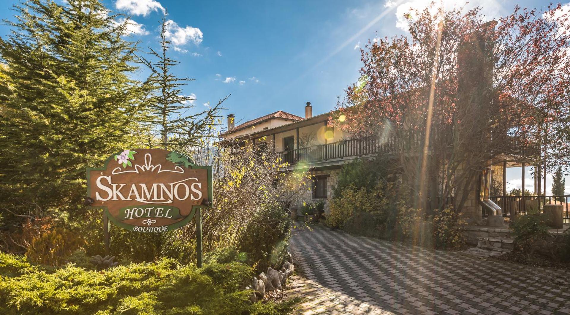 Boutique Hotel Skamnos Arachova - Photo 143