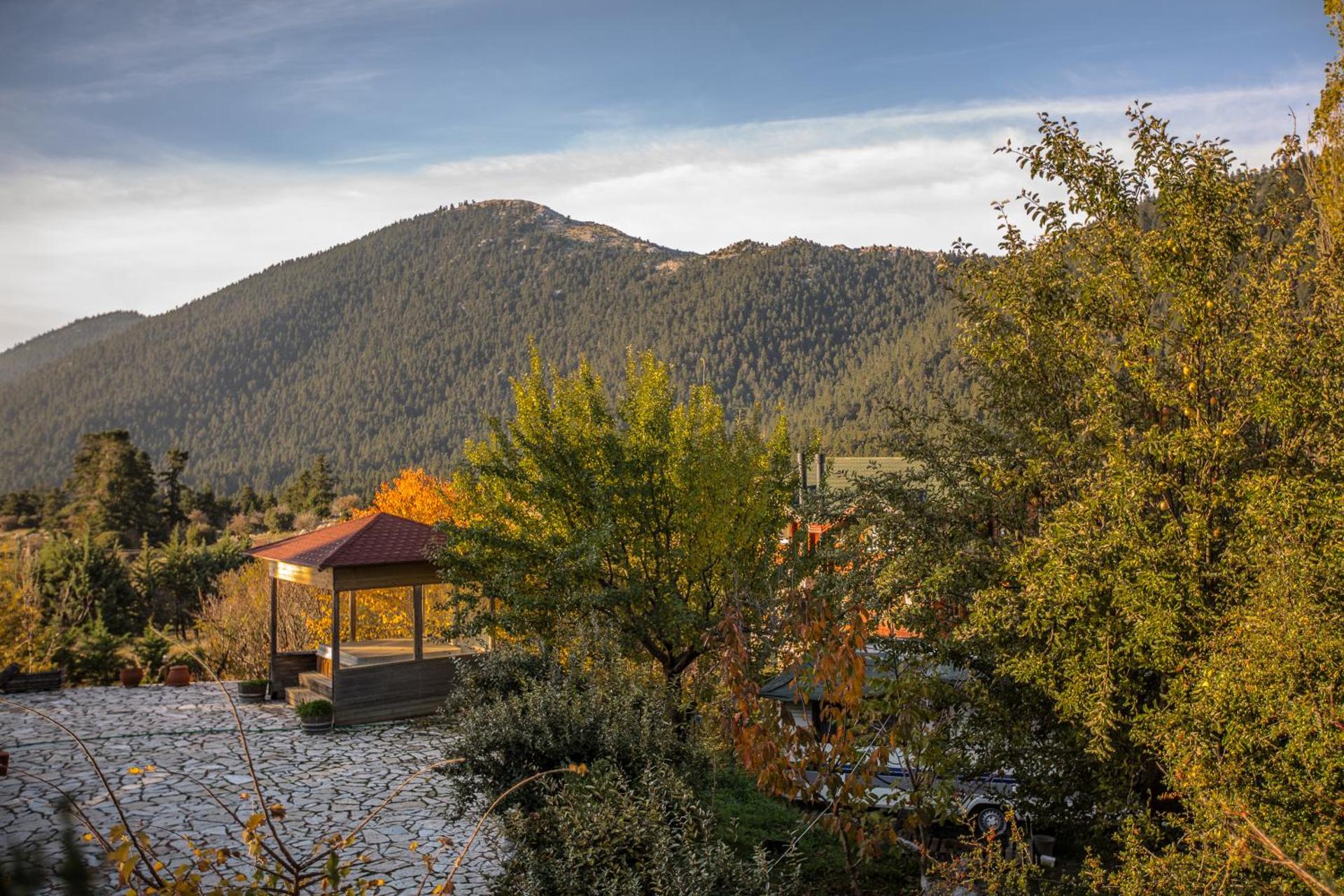 Boutique Hotel Skamnos Arachova - Photo 122