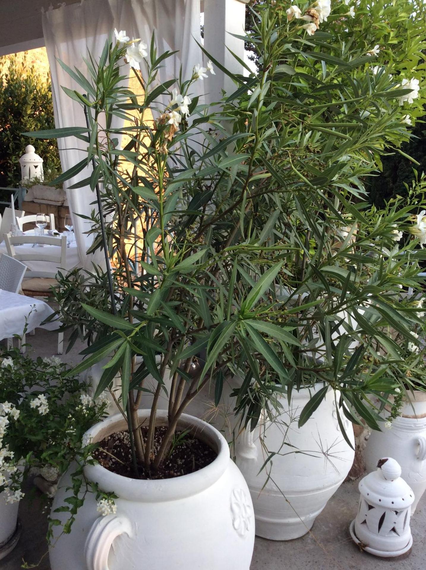 Relais Il Pigno - Photo 167