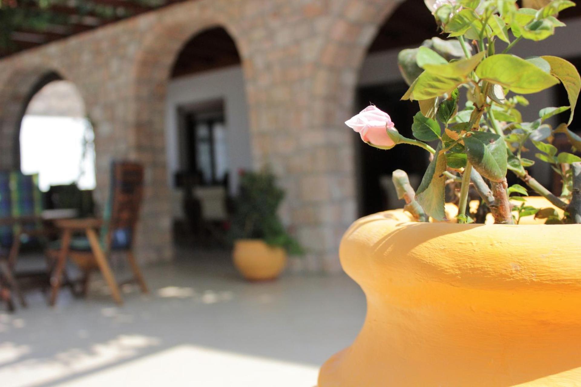 Hotel Delfini - Photo 5