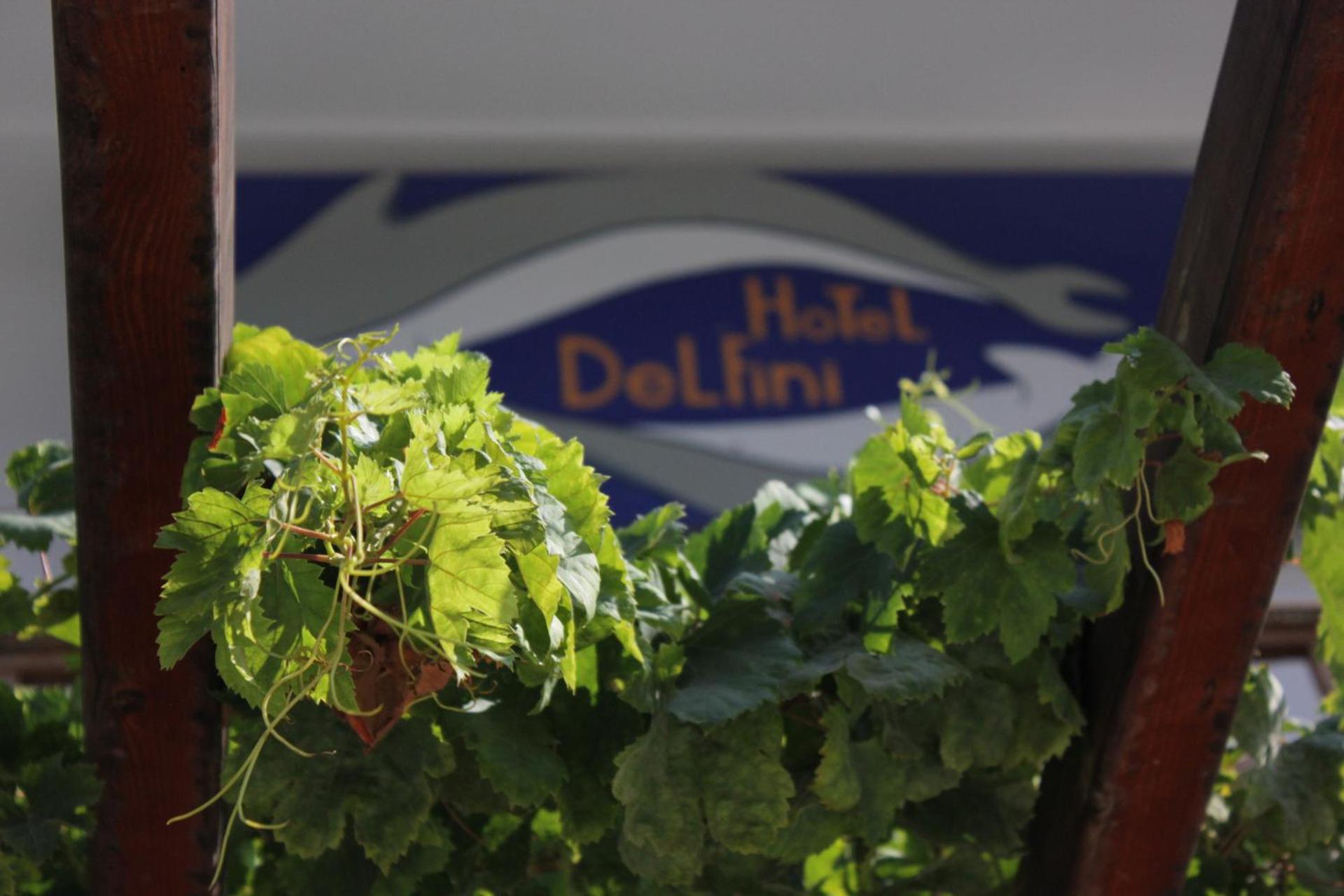 Hotel Delfini - Photo 9