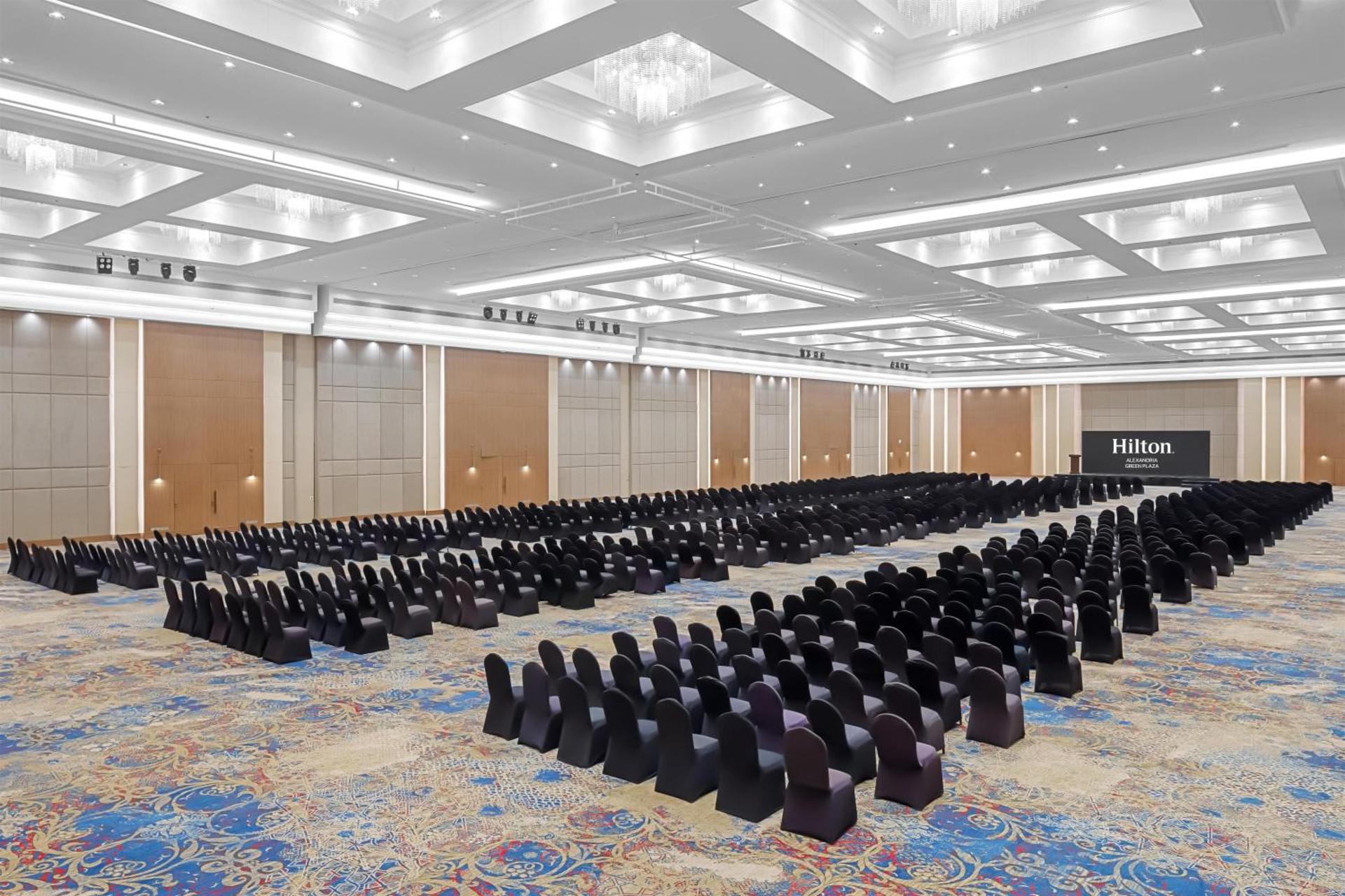 Hilton Alexandria Green Plaza - Photo 115