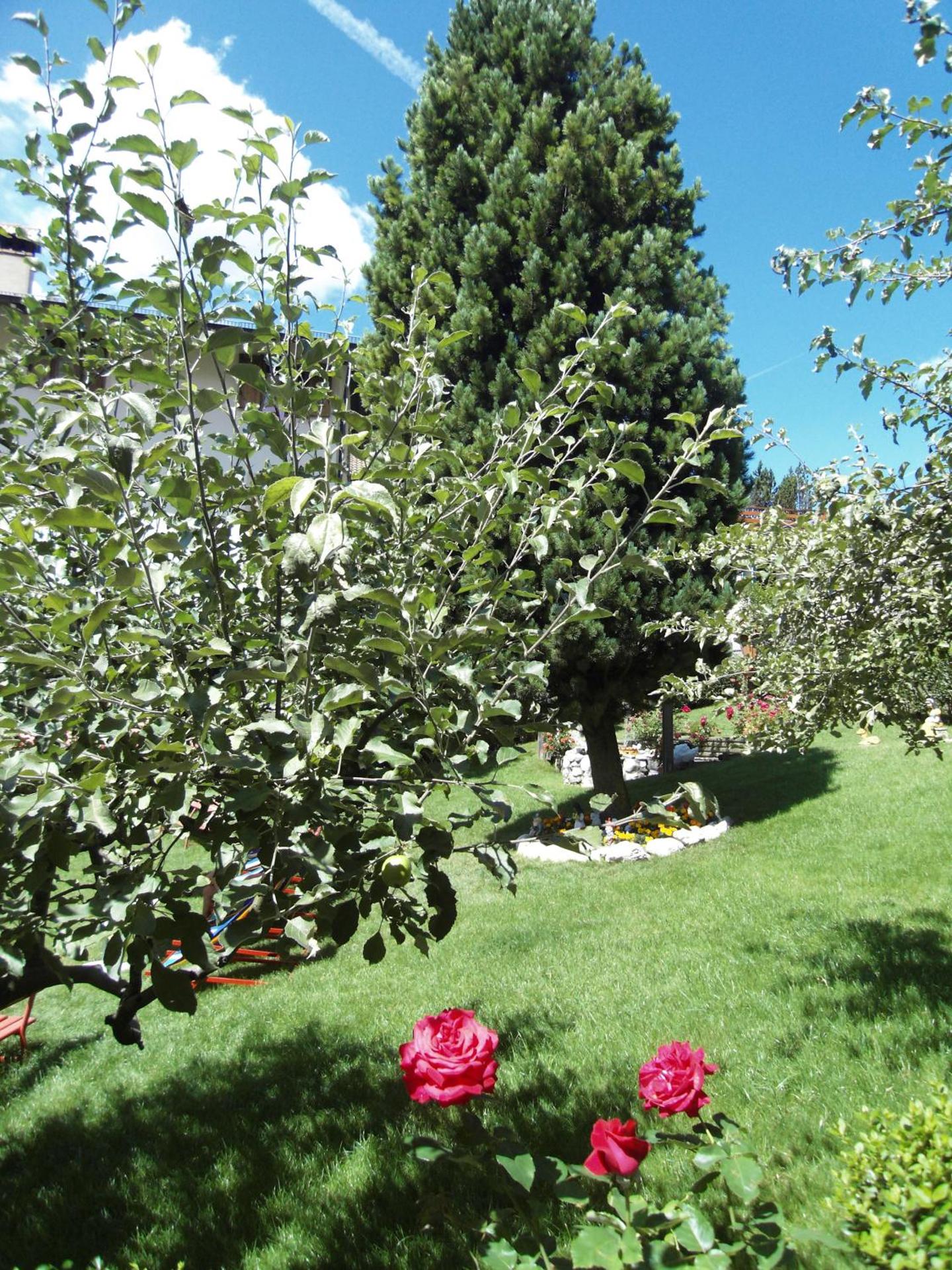 Hotel L'Ideale - Photo 8