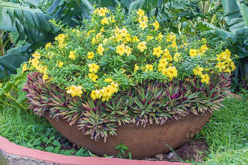 Hotel Alexandrina - Photo 89