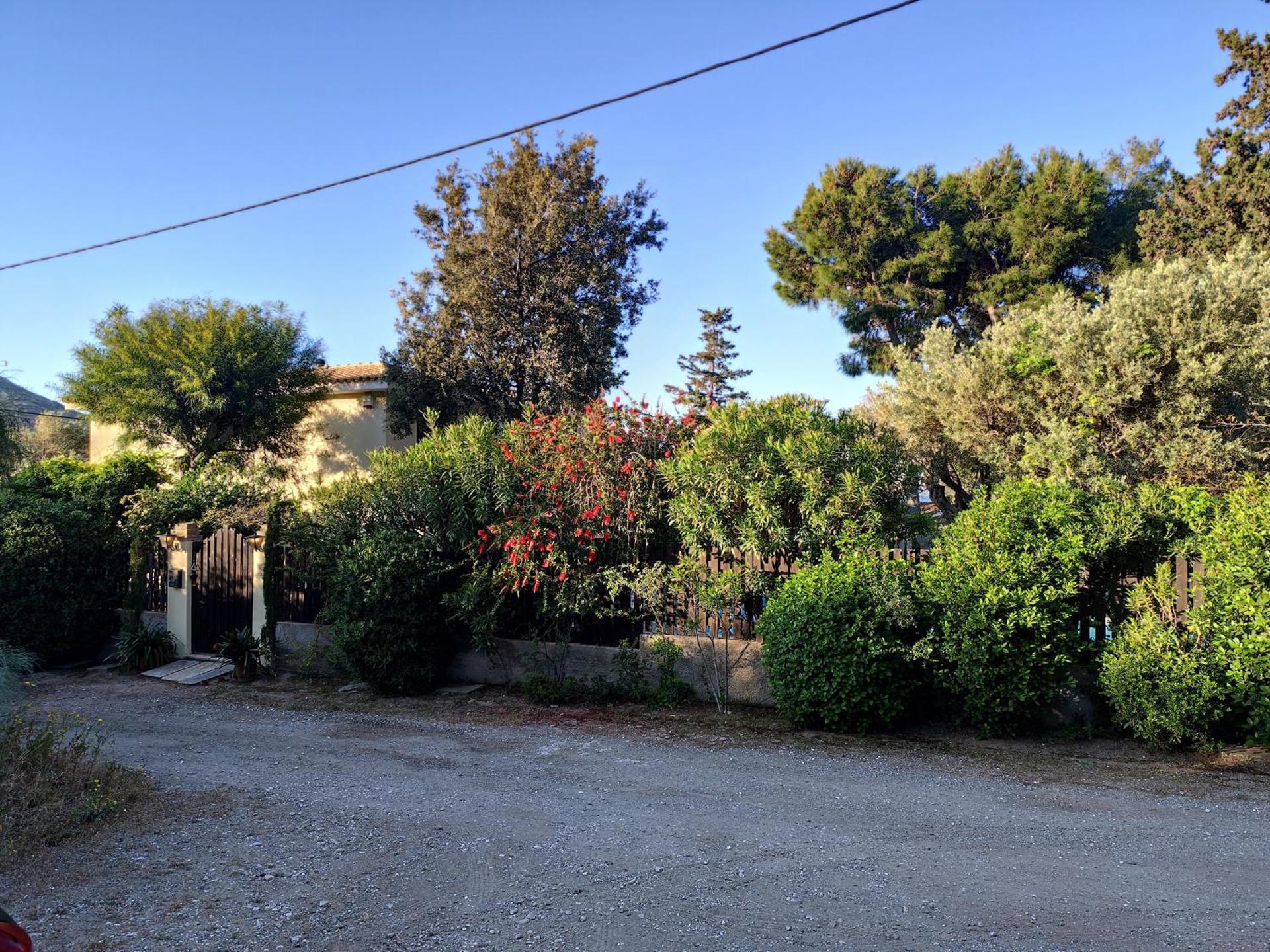 villa eleni - Photo 52