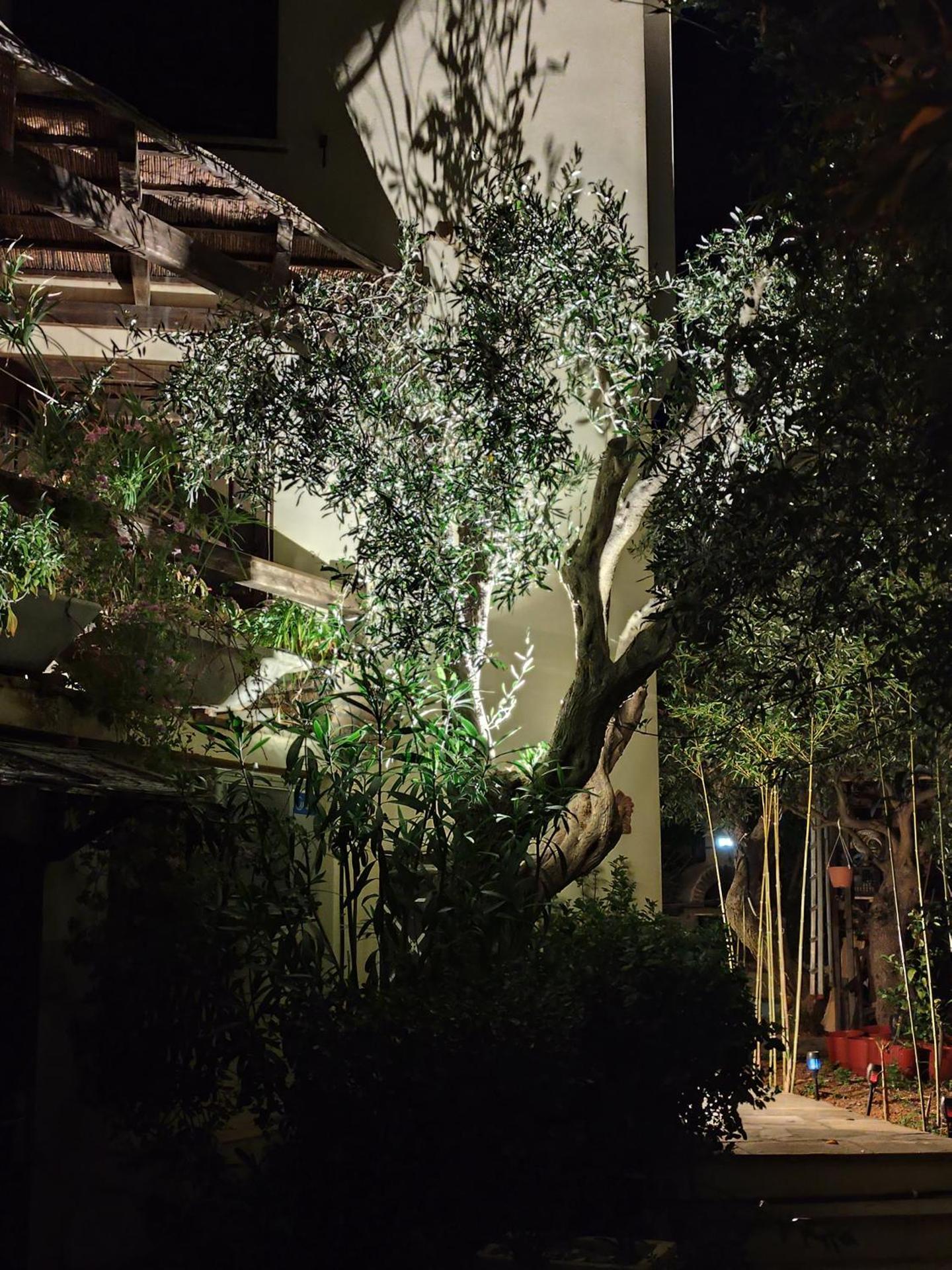 villa eleni - Photo 54