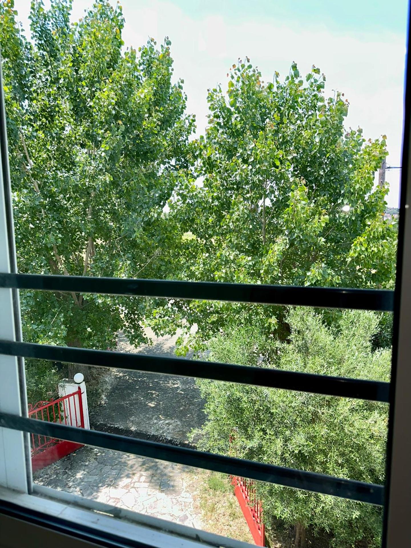Artes Olive Haven - Photo 13