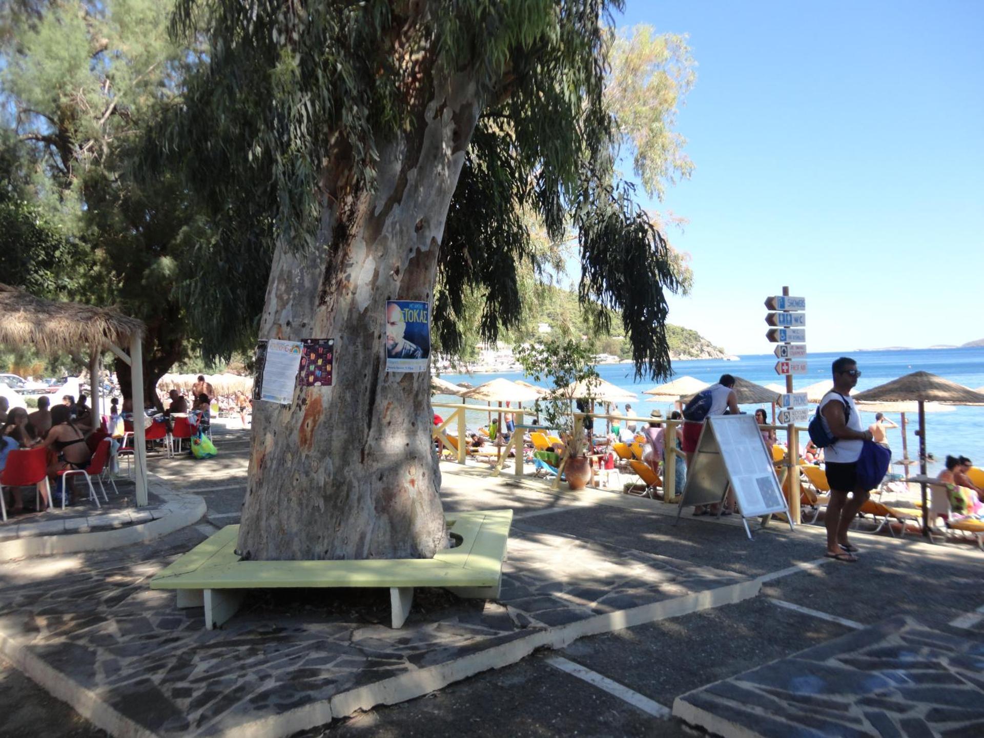 New Aegli Resort Hotel - Photo 174