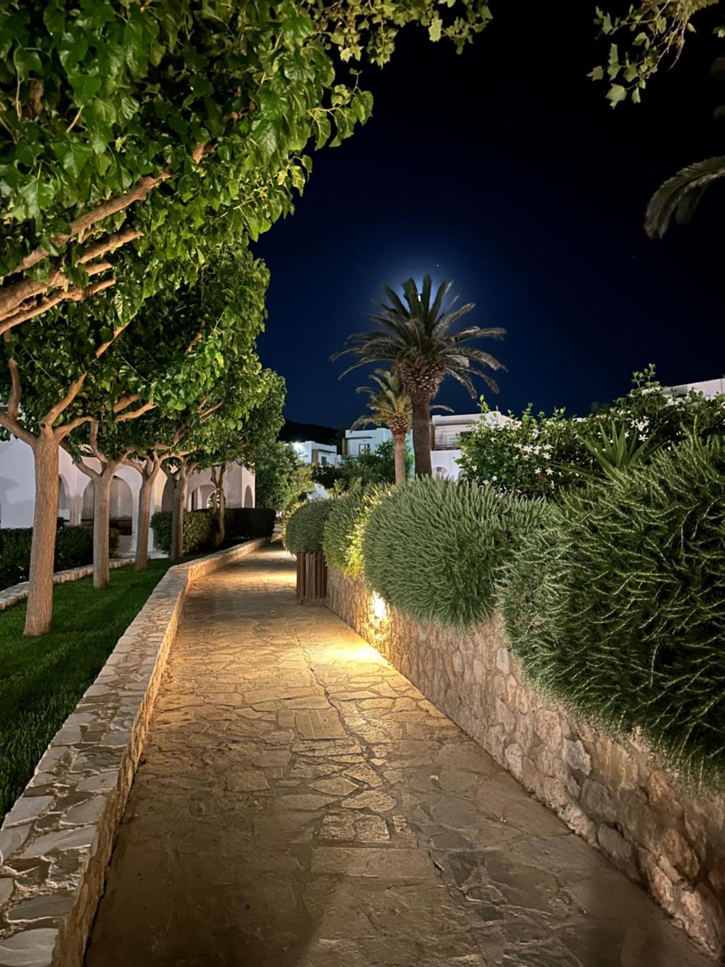 Skiros Palace Hotel - Photo 68