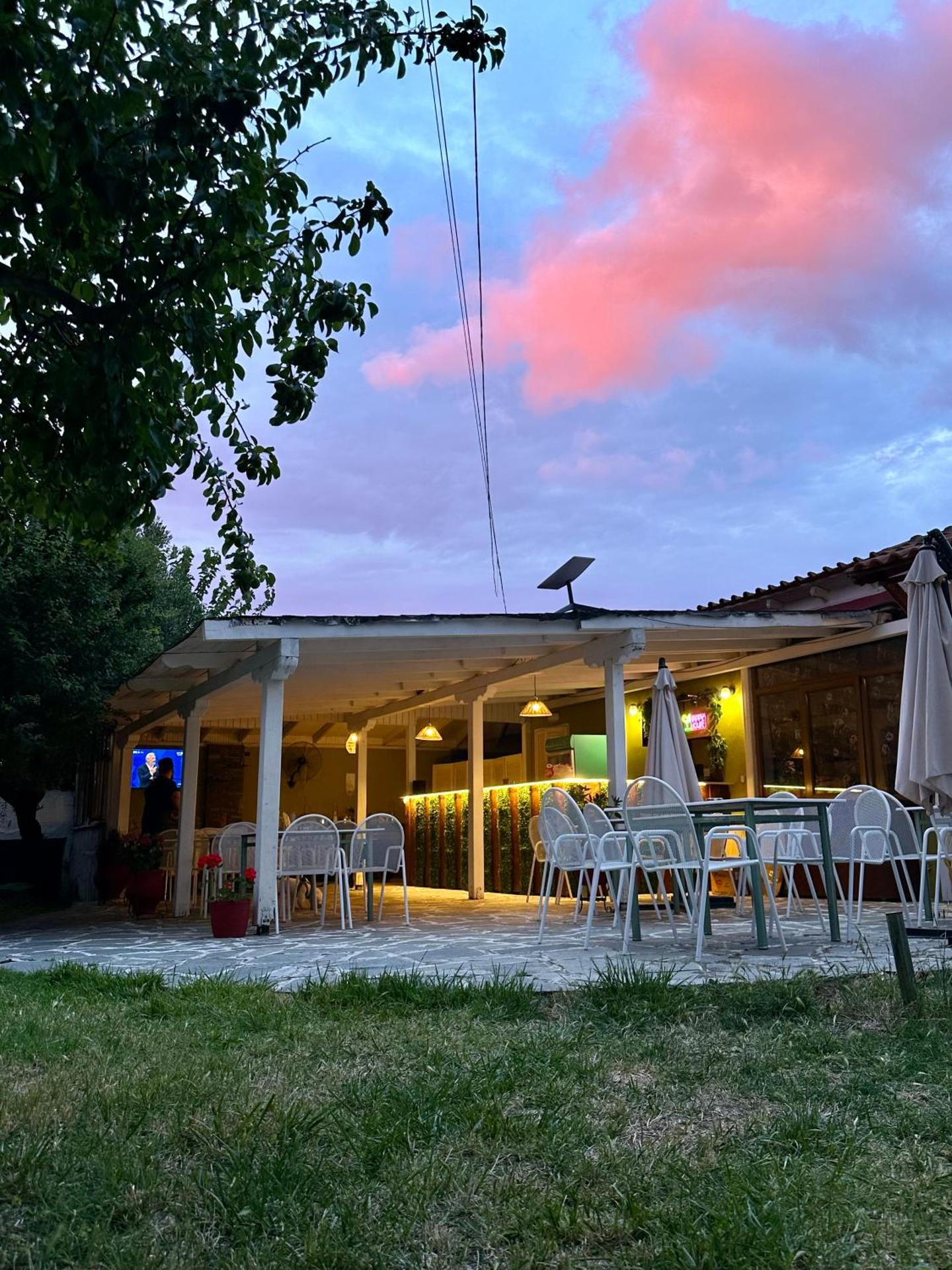 Artes Olive Haven - Photo 161
